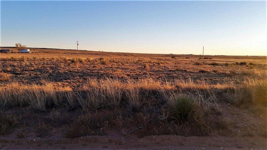 Photo 6 —  Palomino Drive Lot 2