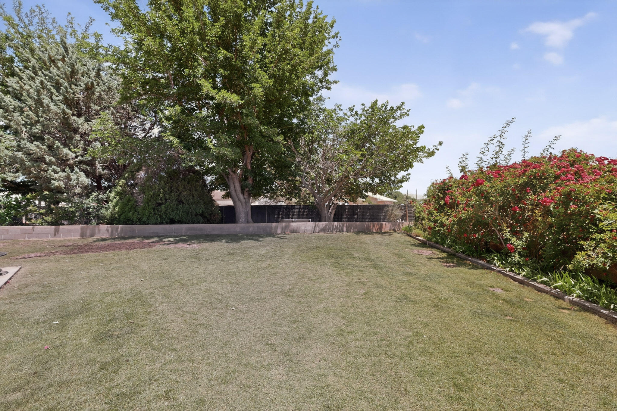 Photo 4 — 430 Abo Road