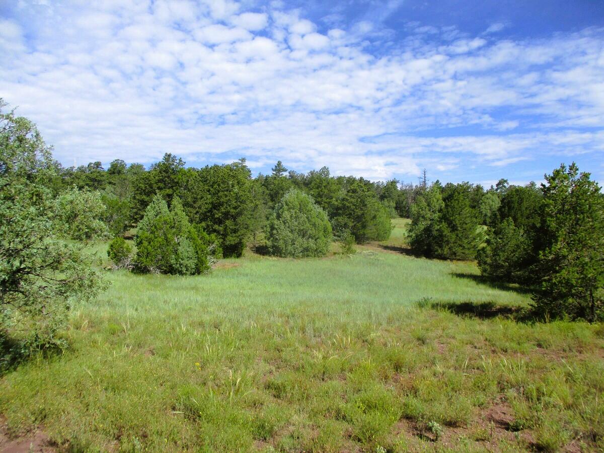 Lots 5 & 6 Black Bear Road, Ramah, NM
