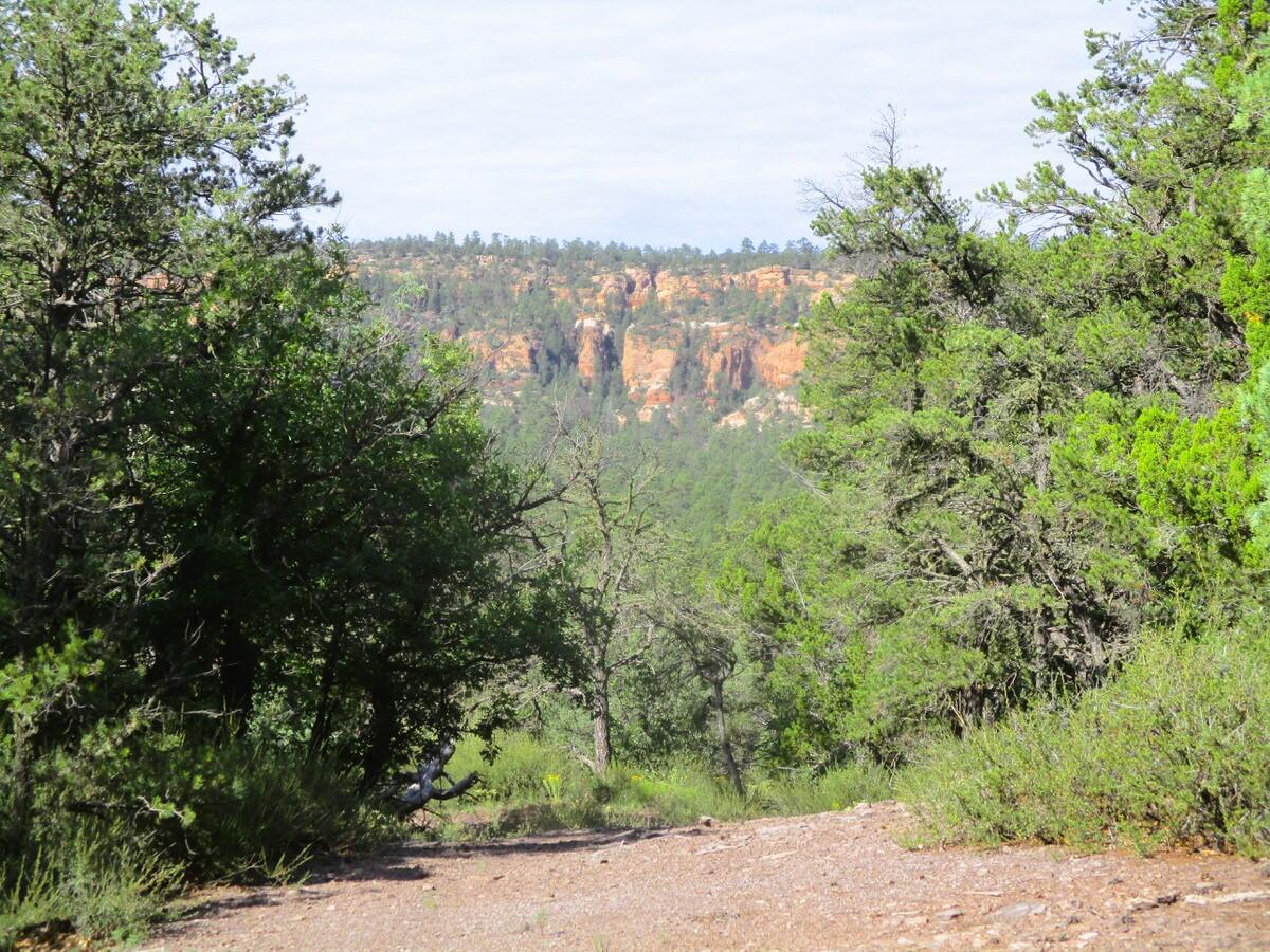 Photo 14 — Lots 5 & 6 Black Bear Road
