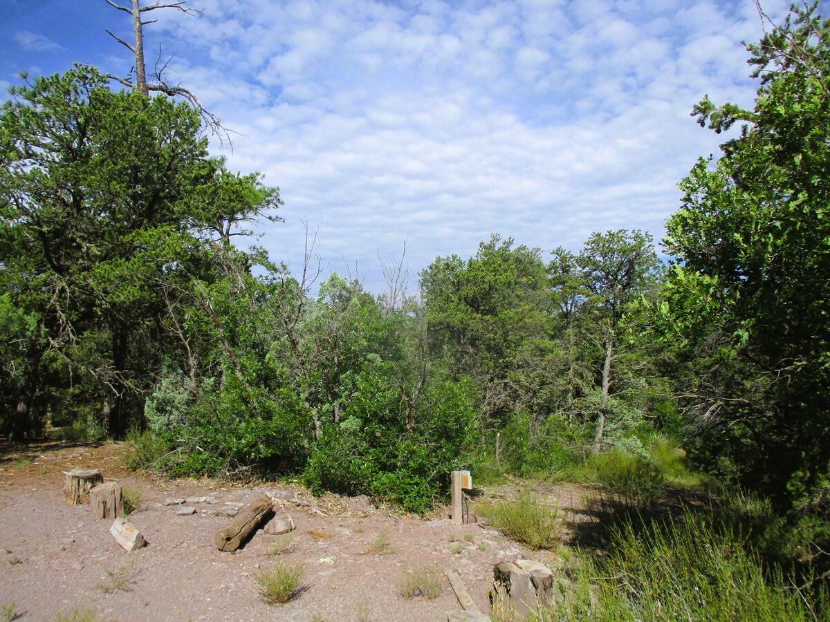 Photo 13 — Lots 5 & 6 Black Bear Road