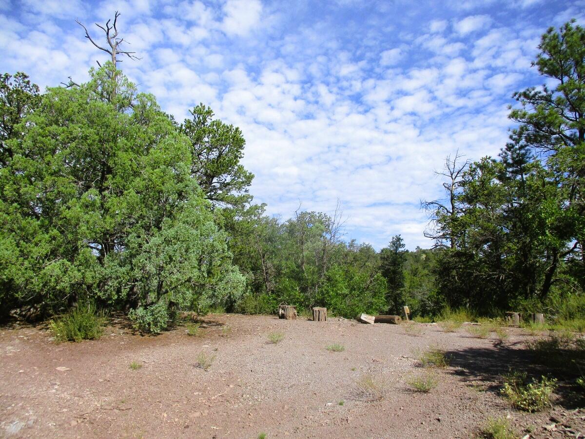 Photo 12 — Lots 5 & 6 Black Bear Road