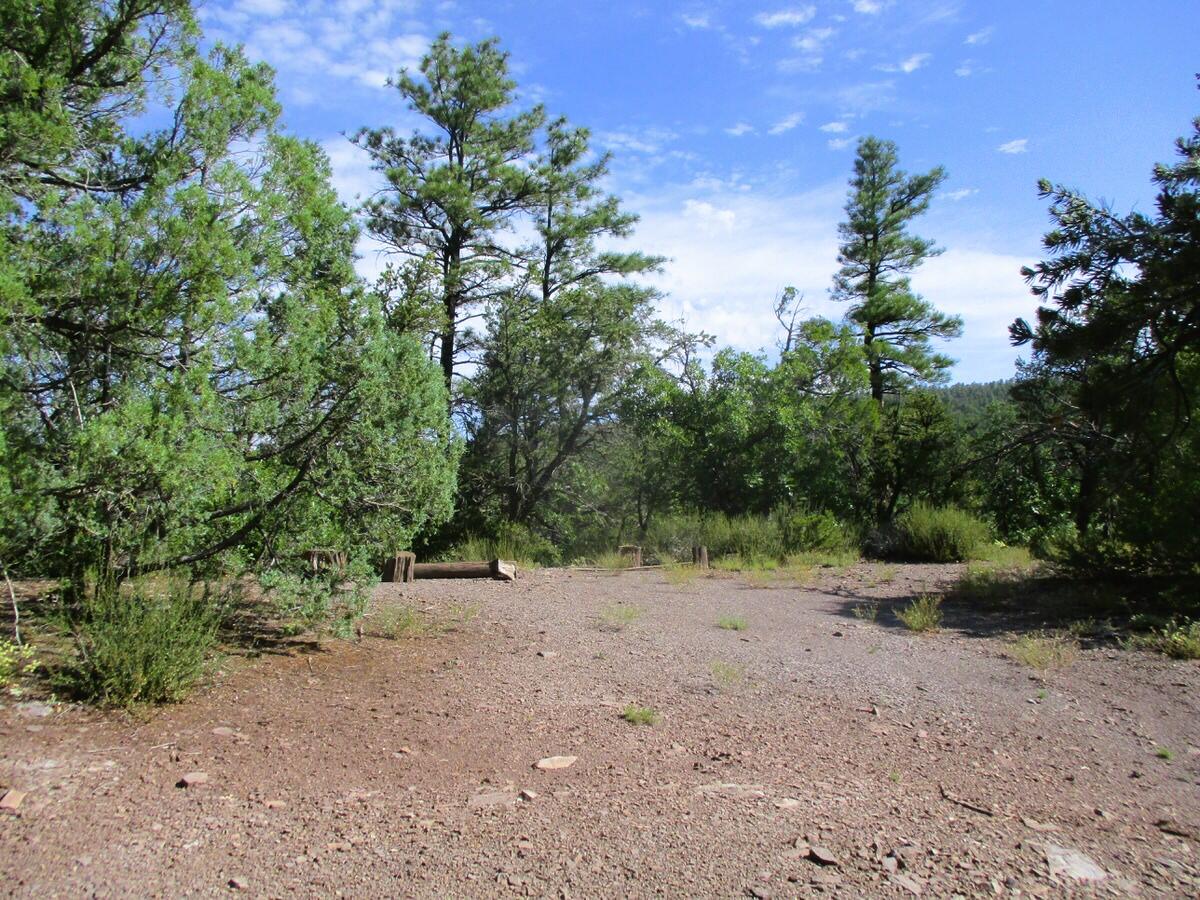 Photo 11 — Lots 5 & 6 Black Bear Road