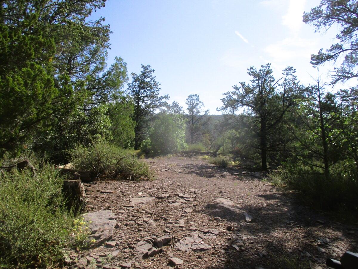 Photo 9 — Lots 5 & 6 Black Bear Road