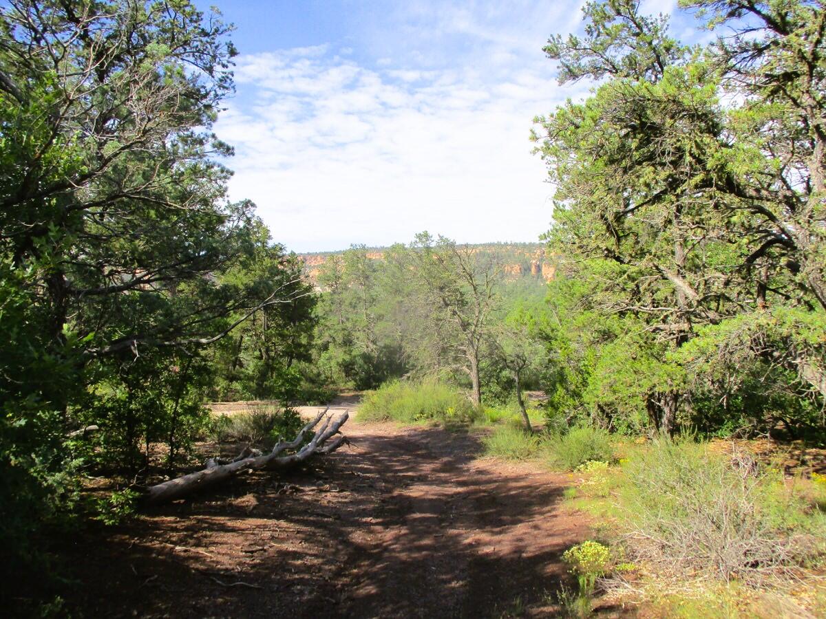 Photo 8 — Lots 5 & 6 Black Bear Road