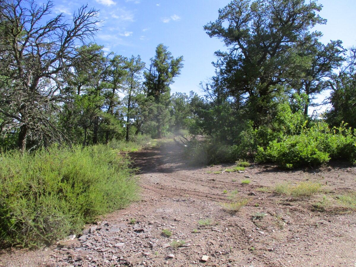 Photo 7 — Lots 5 & 6 Black Bear Road