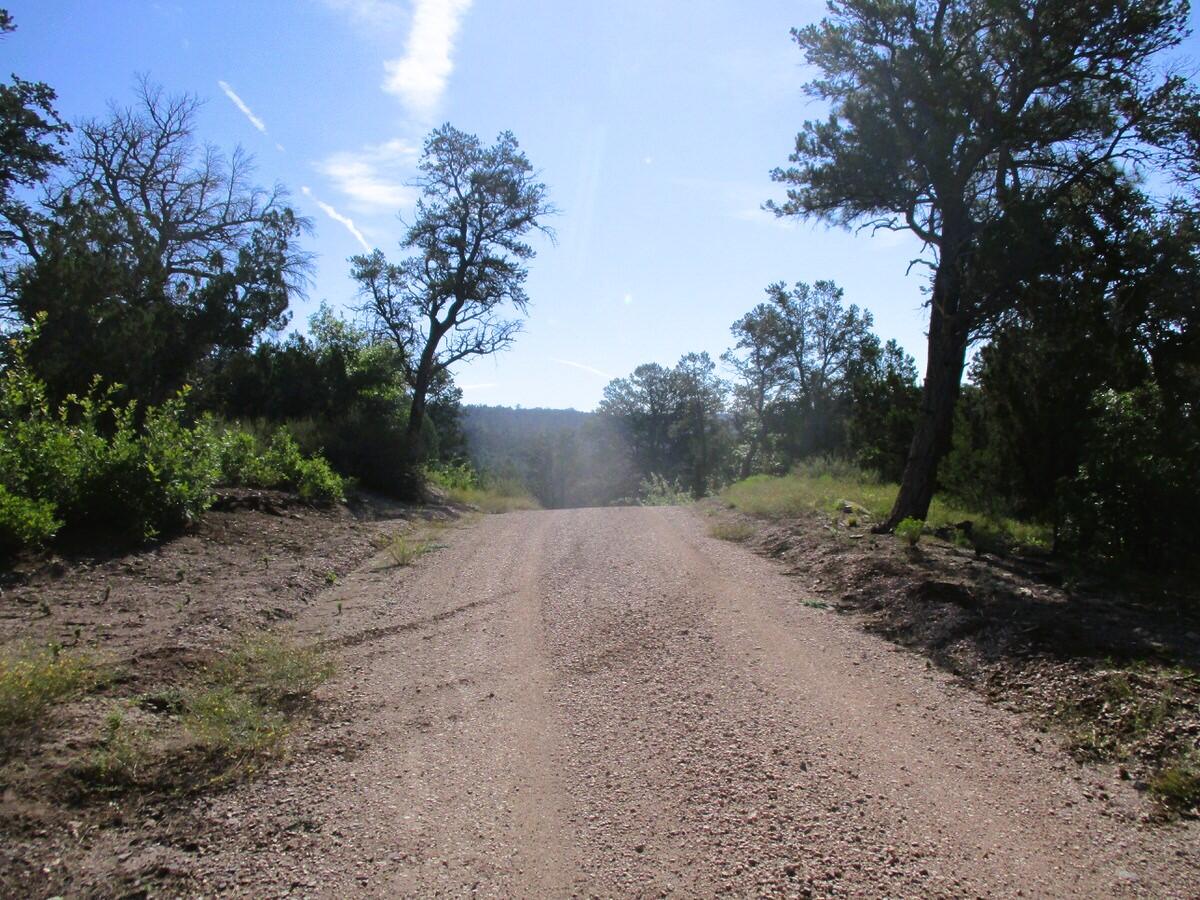 Photo 6 — Lots 5 & 6 Black Bear Road