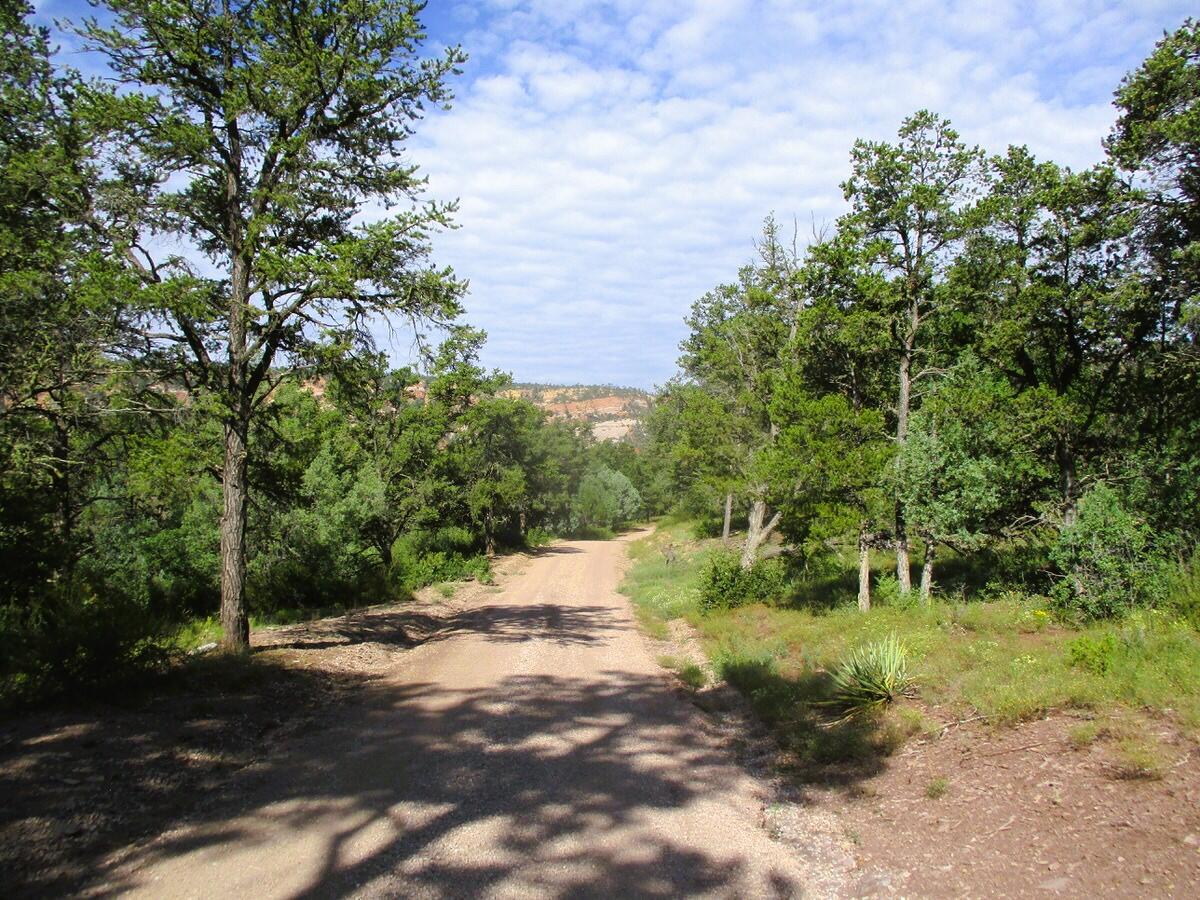 Photo 5 — Lots 5 & 6 Black Bear Road