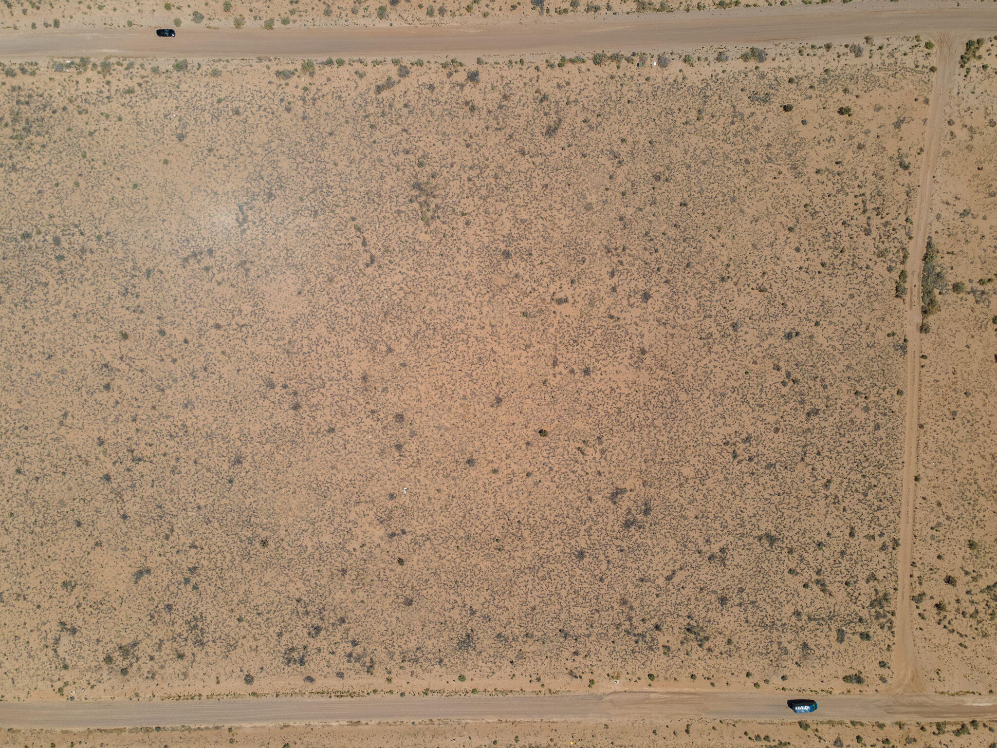 Photo 7 —  Starry Sky Avenue NE