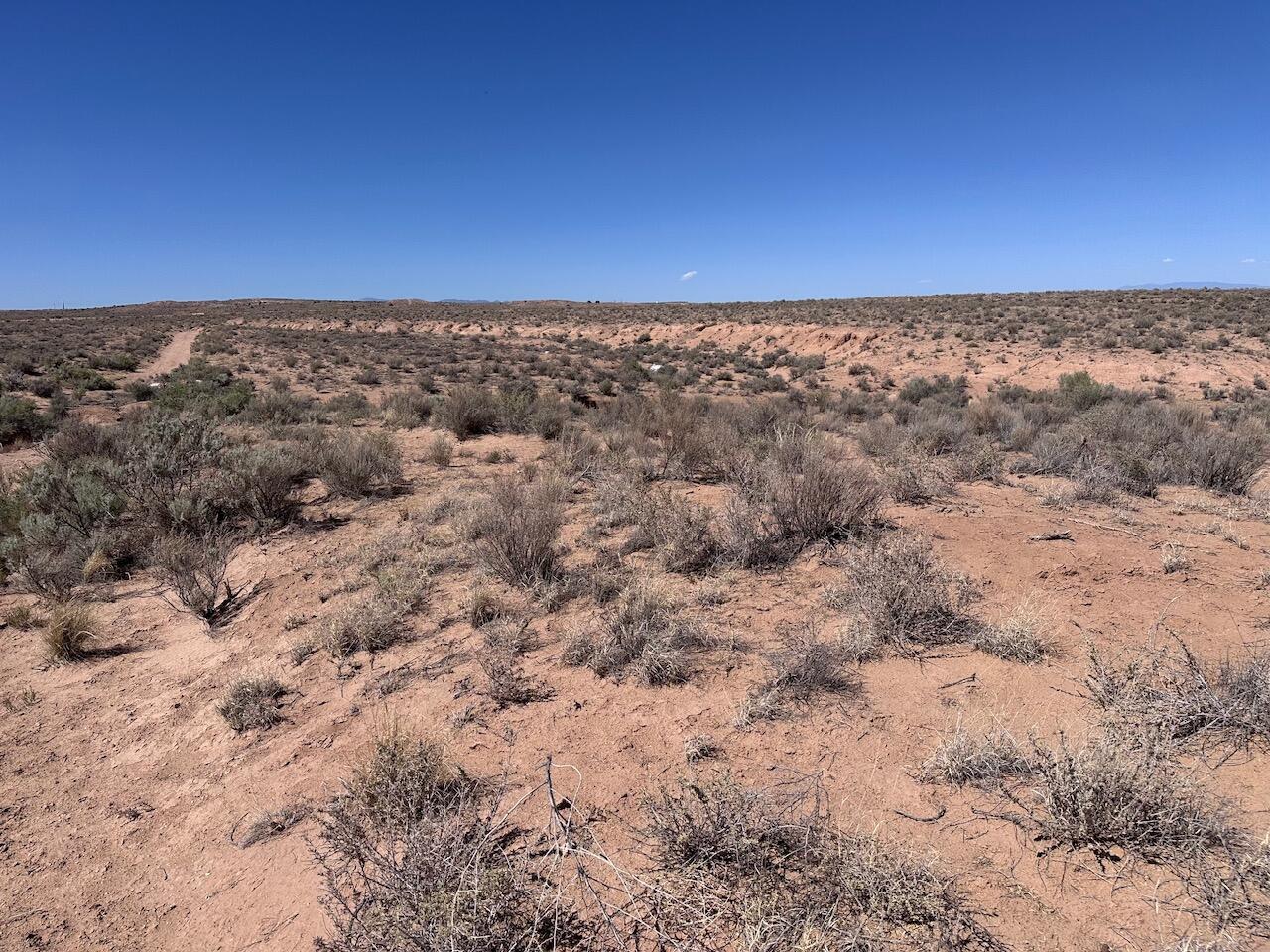 Photo 5 —  Buckskin Court