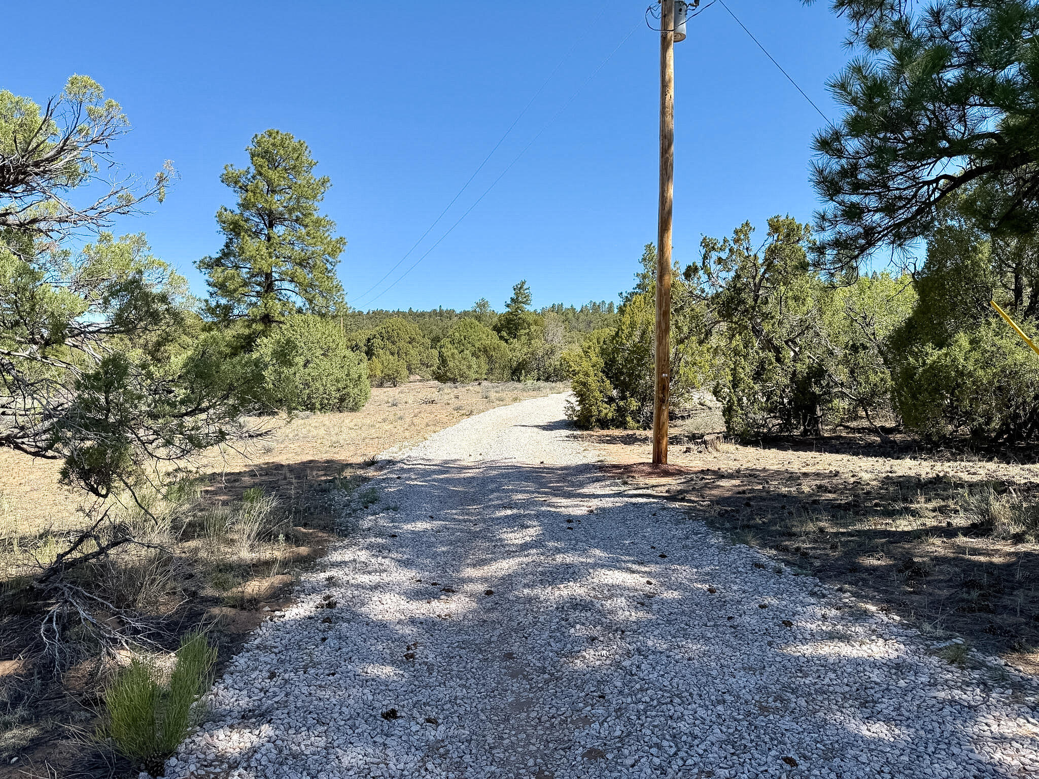 Photo 16 — 66 Beeflower Lane