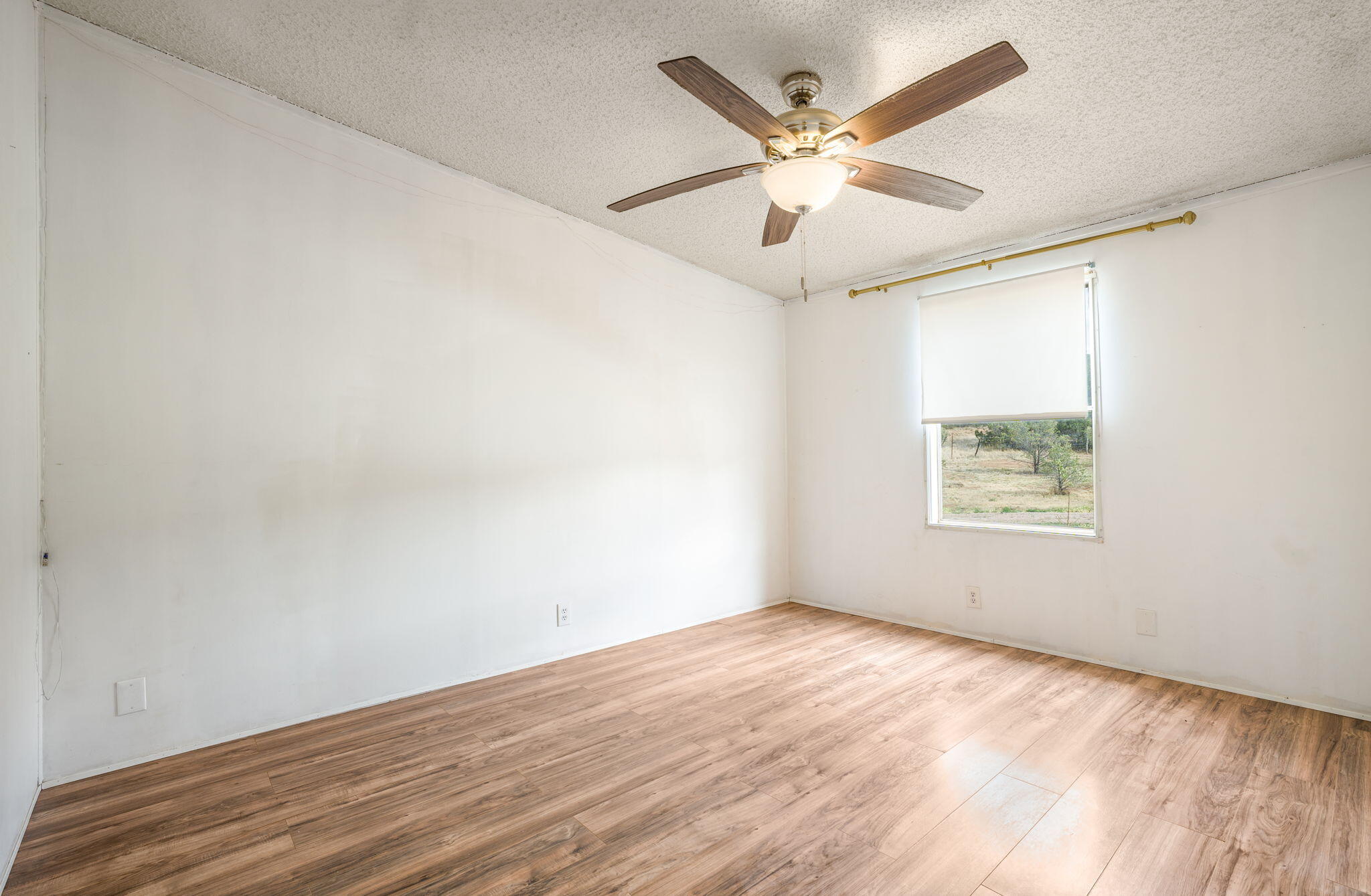 Photo 3 — 52 Windmill Road