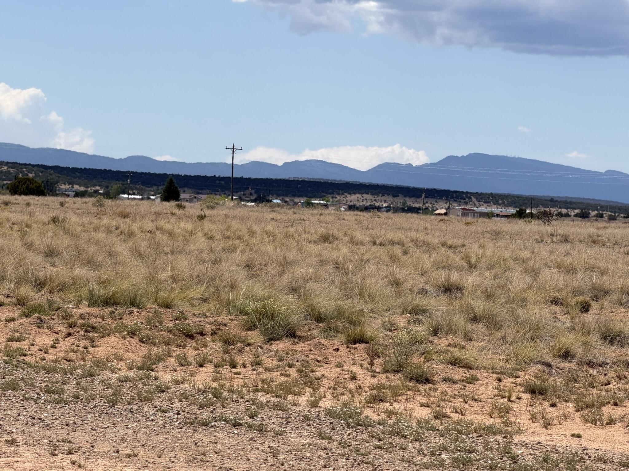 Photo 5 — 300 McNabb Road