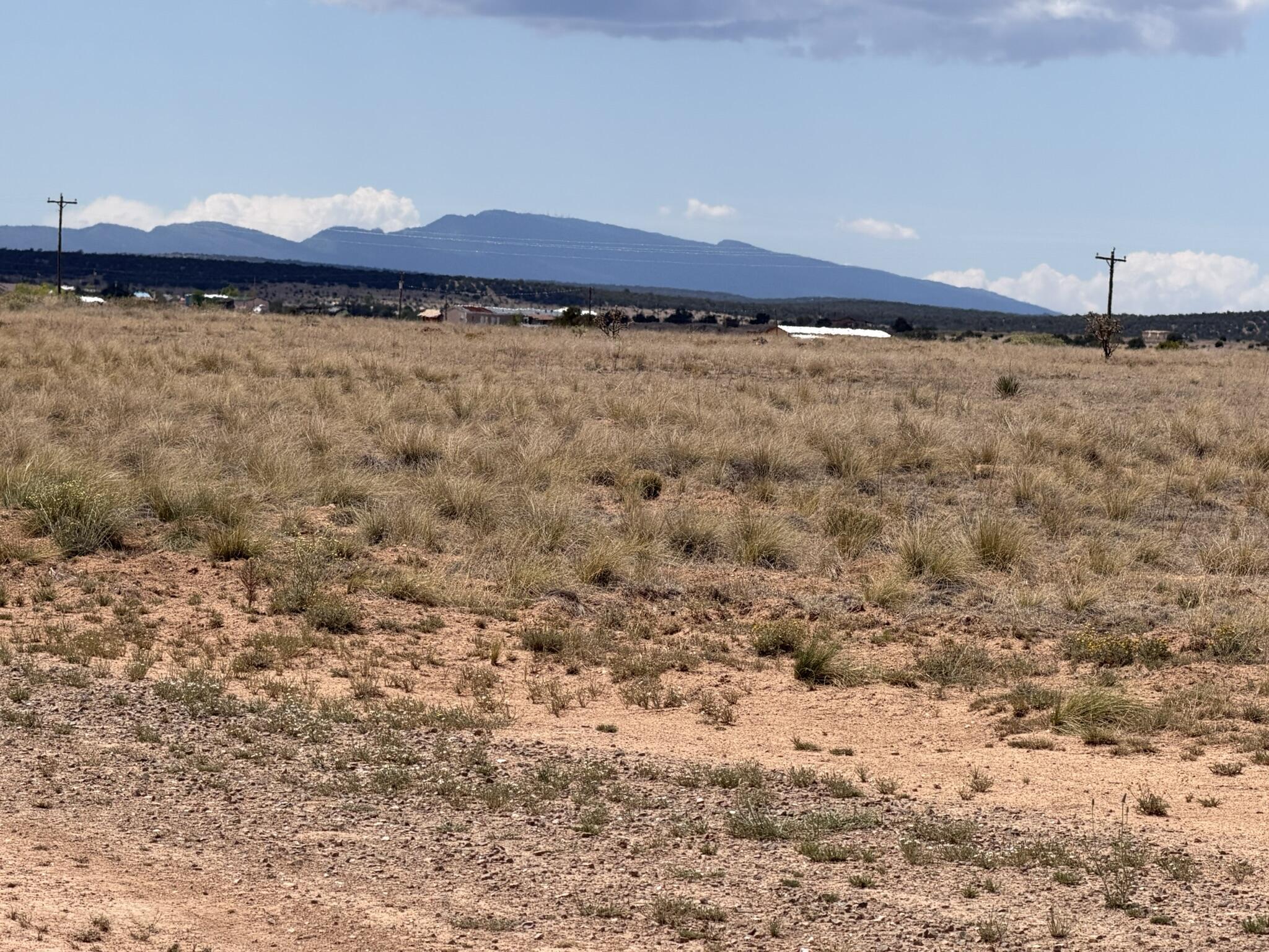 Photo 4 — 300 McNabb Road