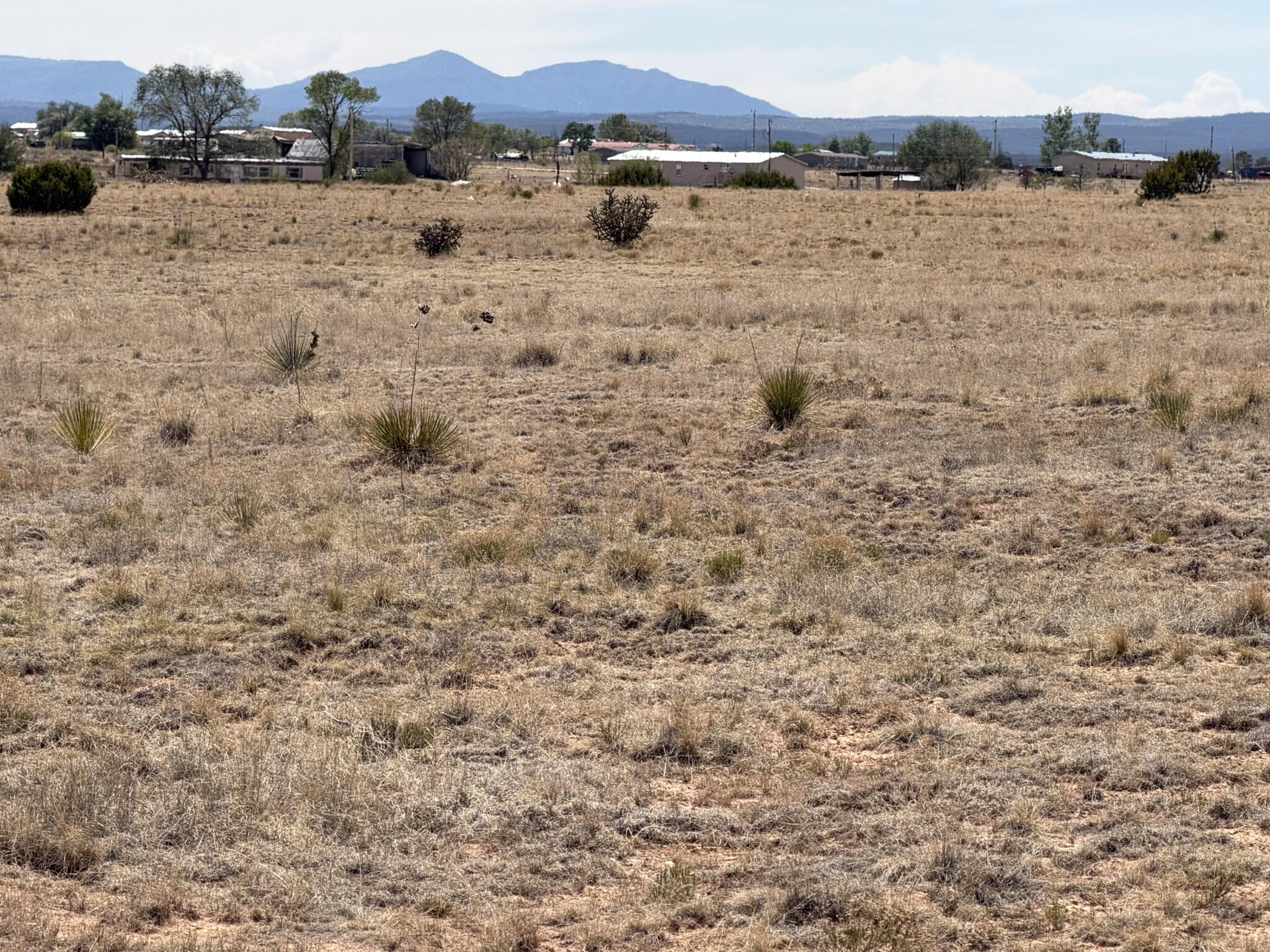 Photo 3 — 300 McNabb Road