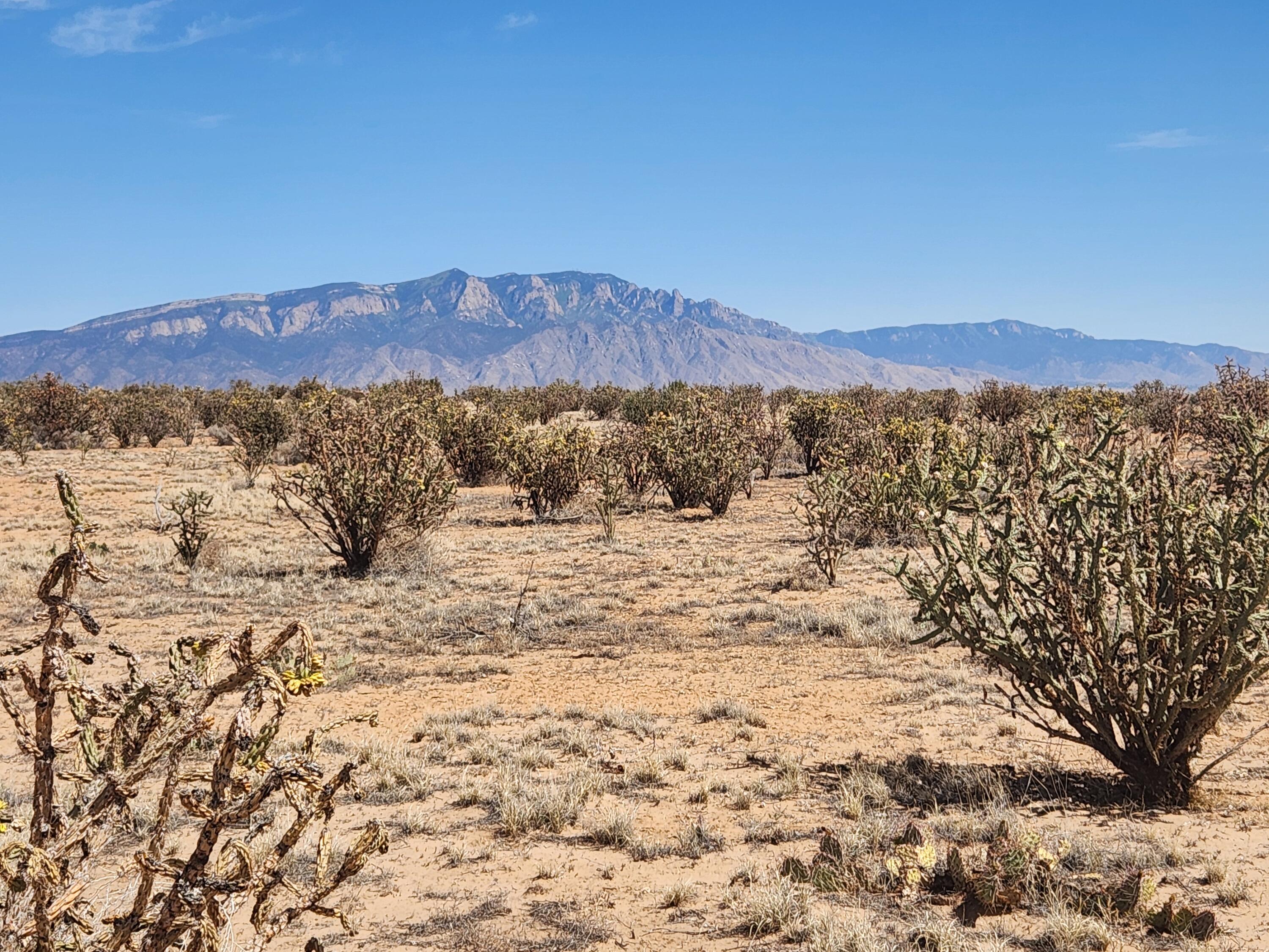 4728 Majesty Road NE, Rio Rancho, NM 87144