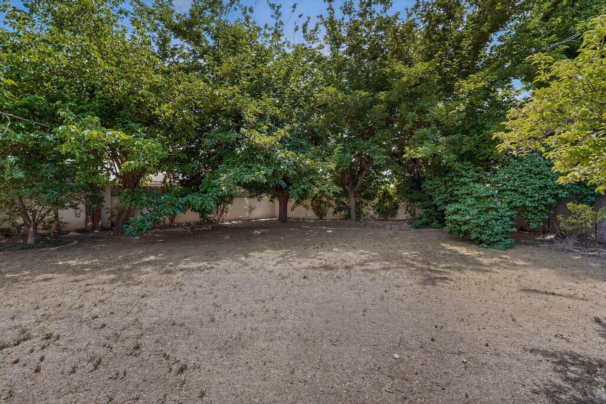 Photo 5 — 713 Montclaire Drive NE
