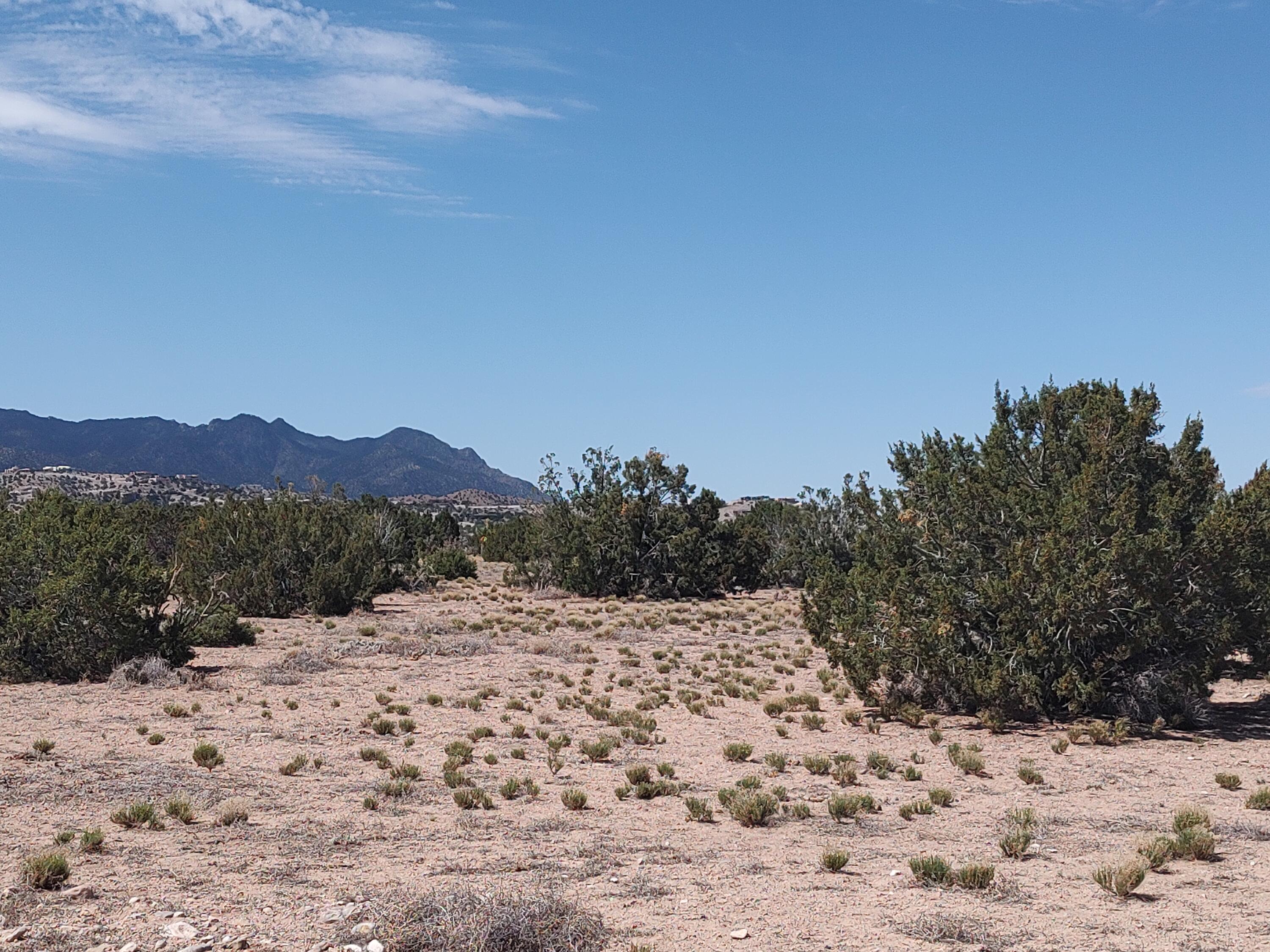 Photo 19 —  Cielo Norte Tract B-4