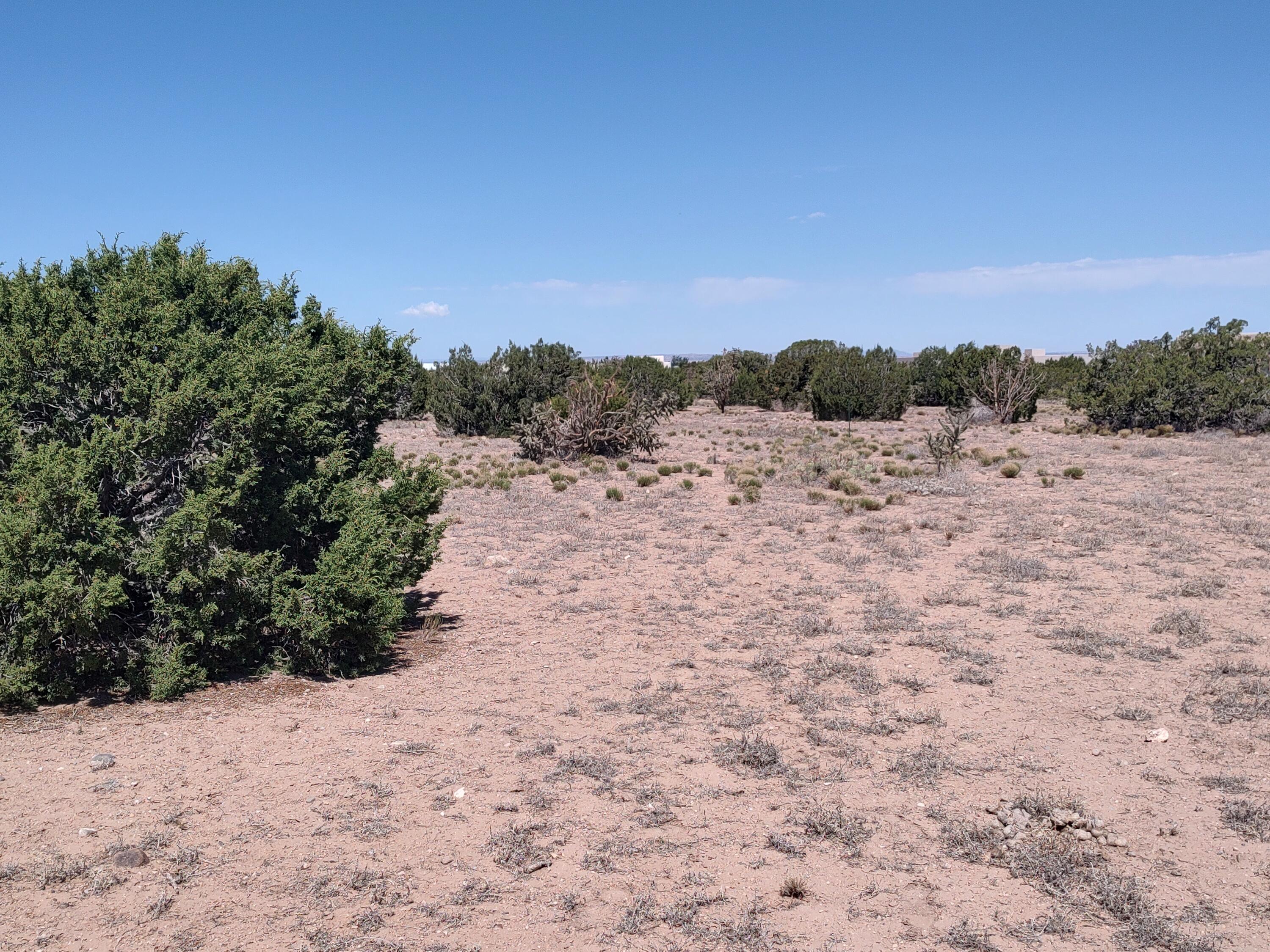 Photo 9 —  Cielo Norte Tract B-3