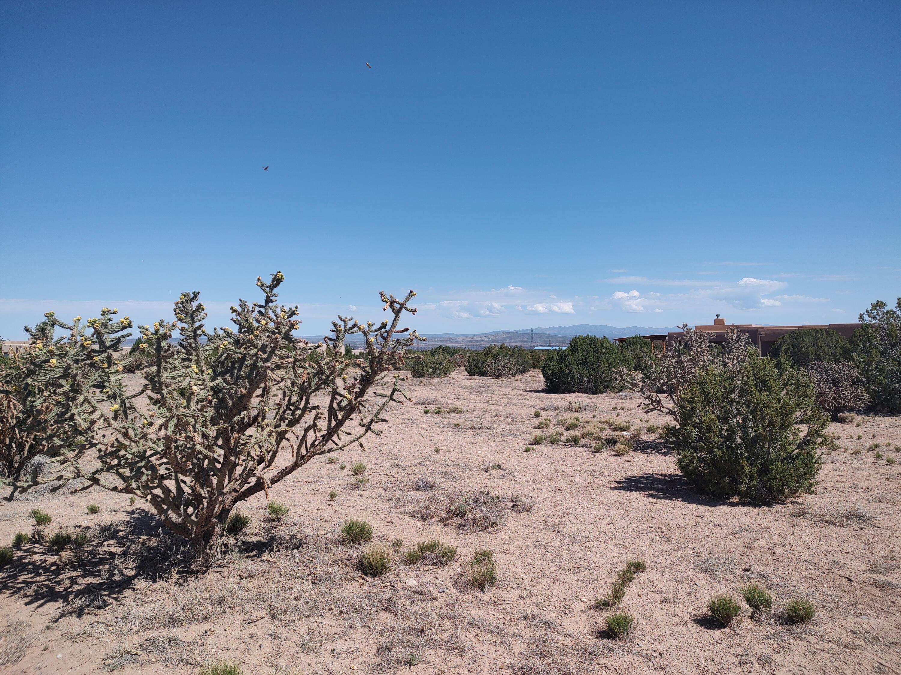 Photo 17 —  Cielo Norte Tract B-3