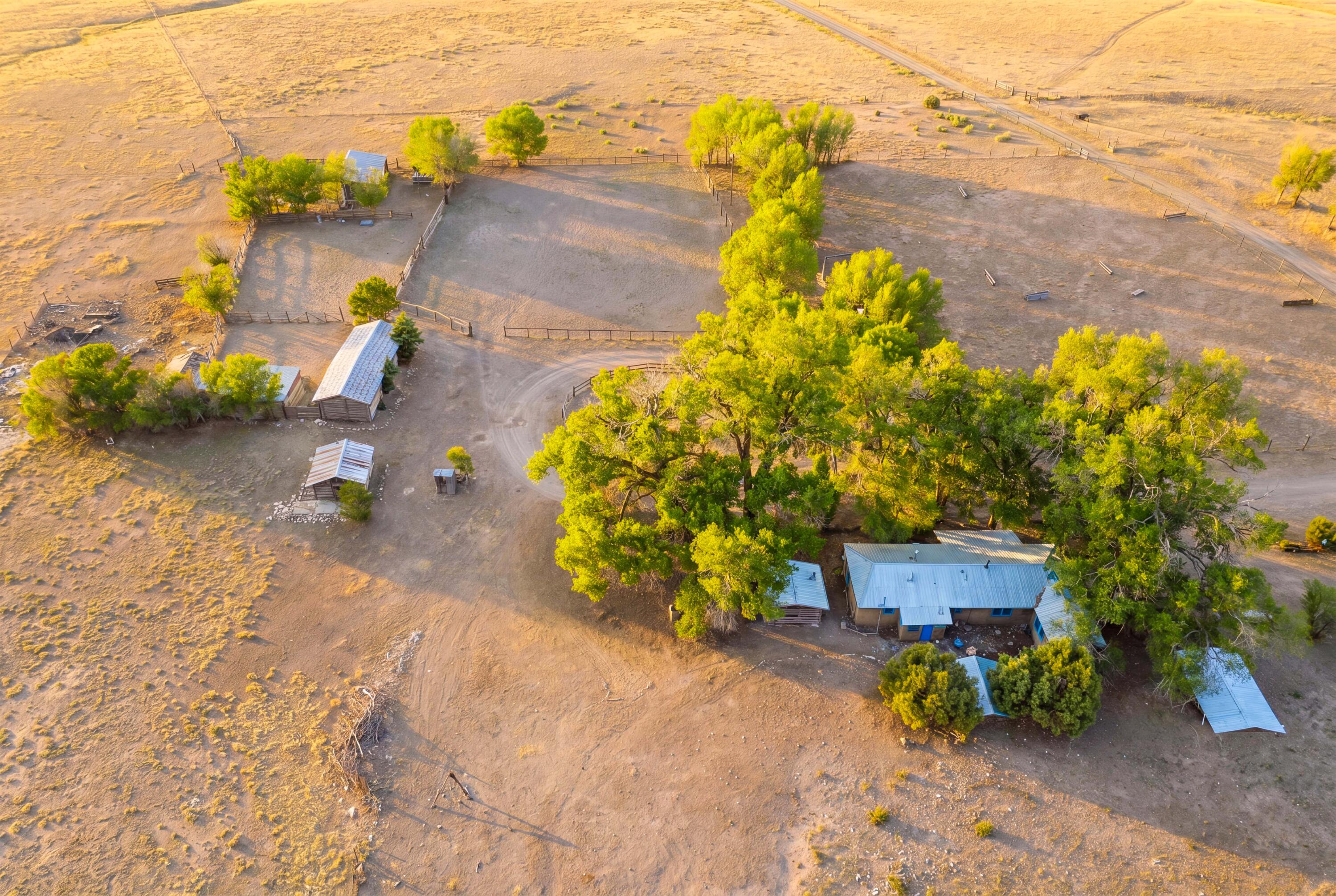 Photo 12 — 116 Thomas Ranch Rd. Road
