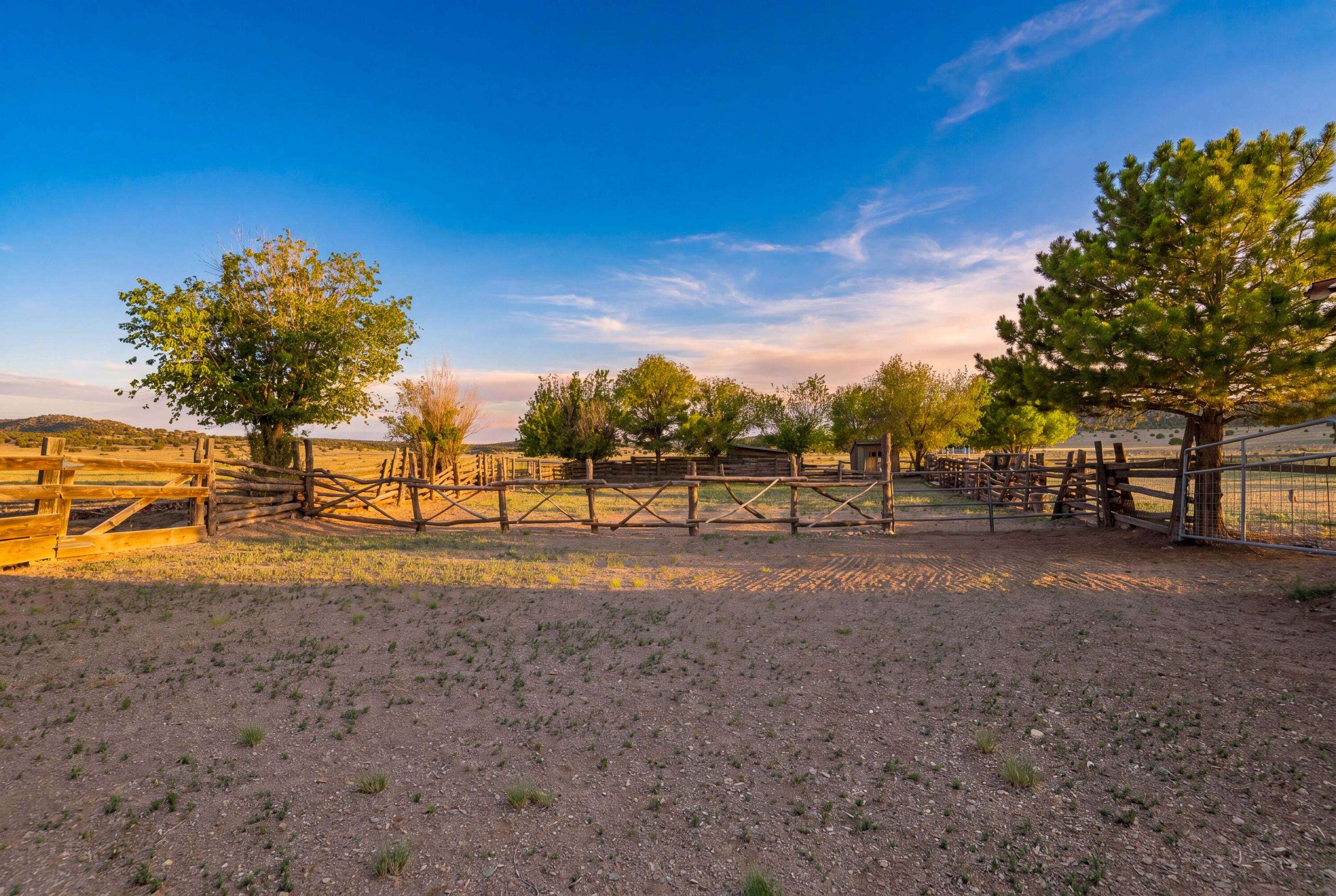 Photo 9 — 116 Thomas Ranch Rd. Road