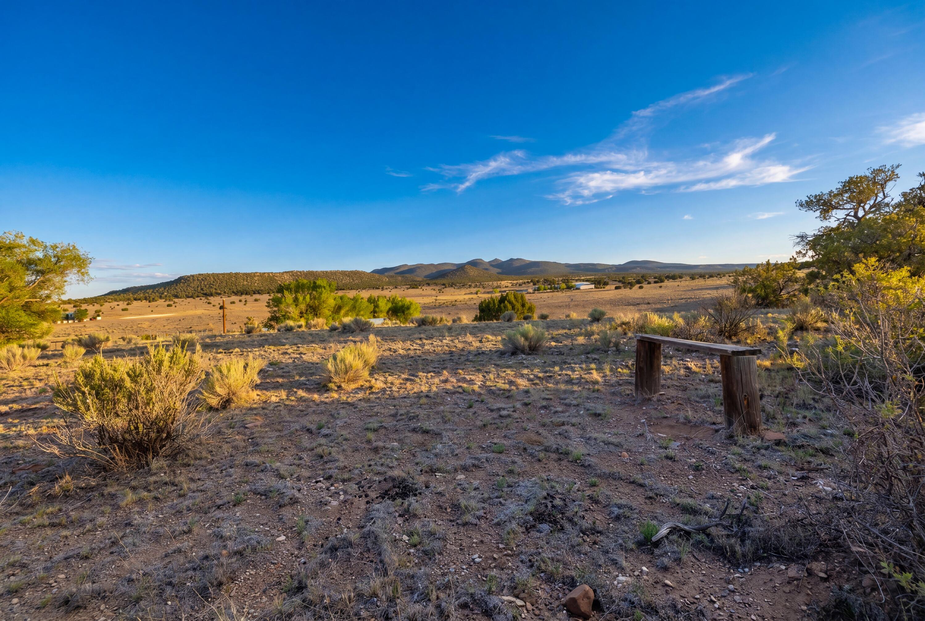 Photo 4 — 116 Thomas Ranch Rd. Road