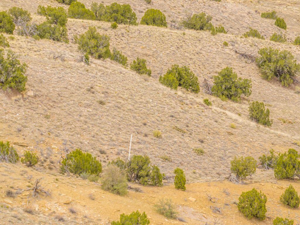 Photo 10 — 34 White Wolf Road