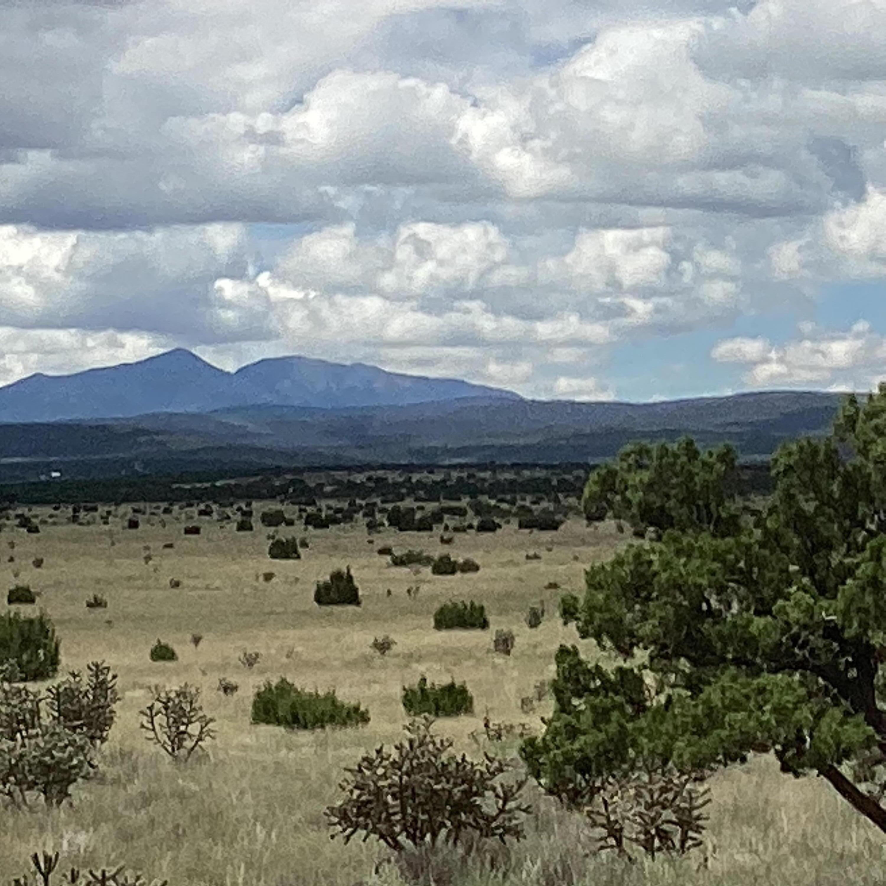  County Road A052, Estancia, NM 87016