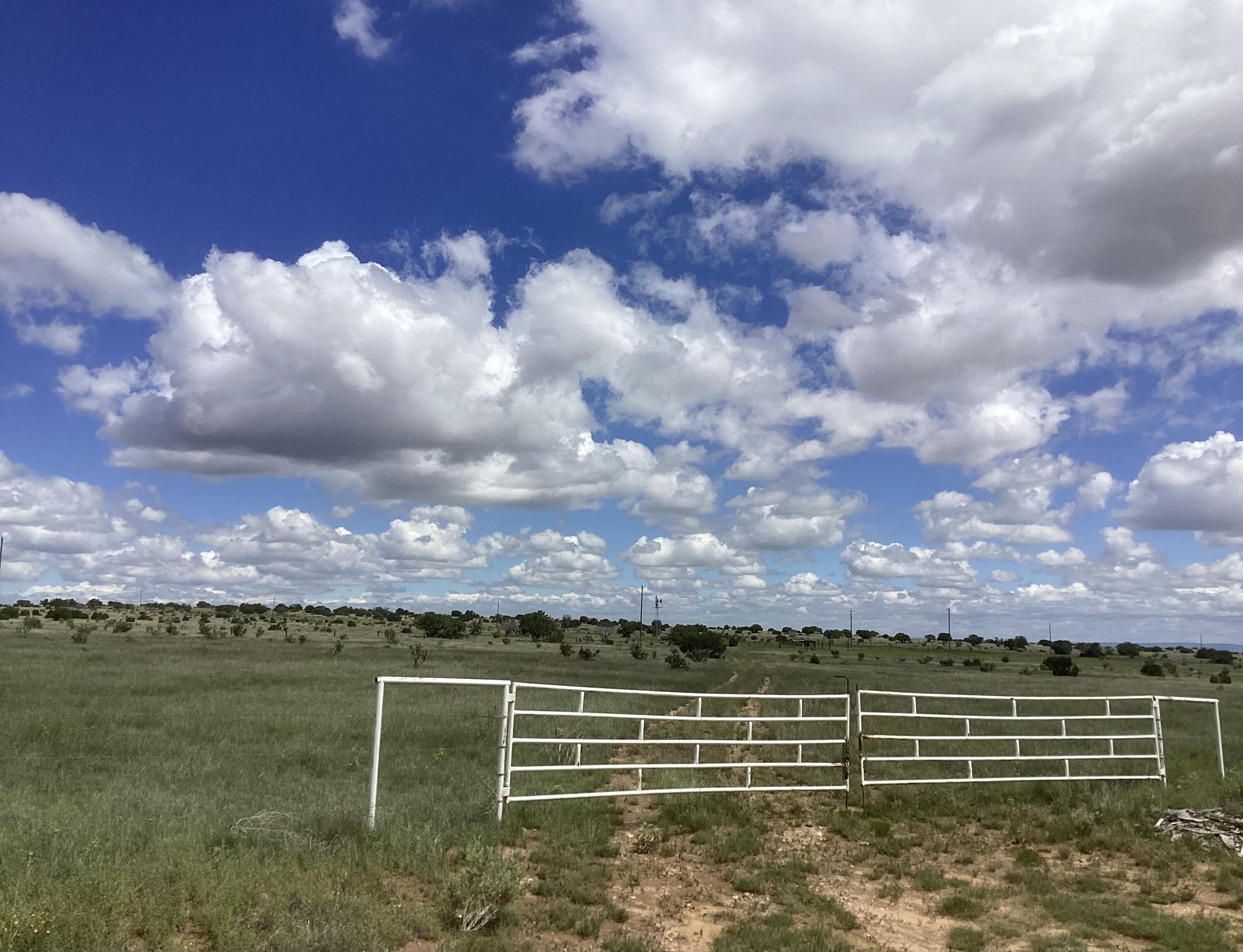 Photo 5 —  County Road A052