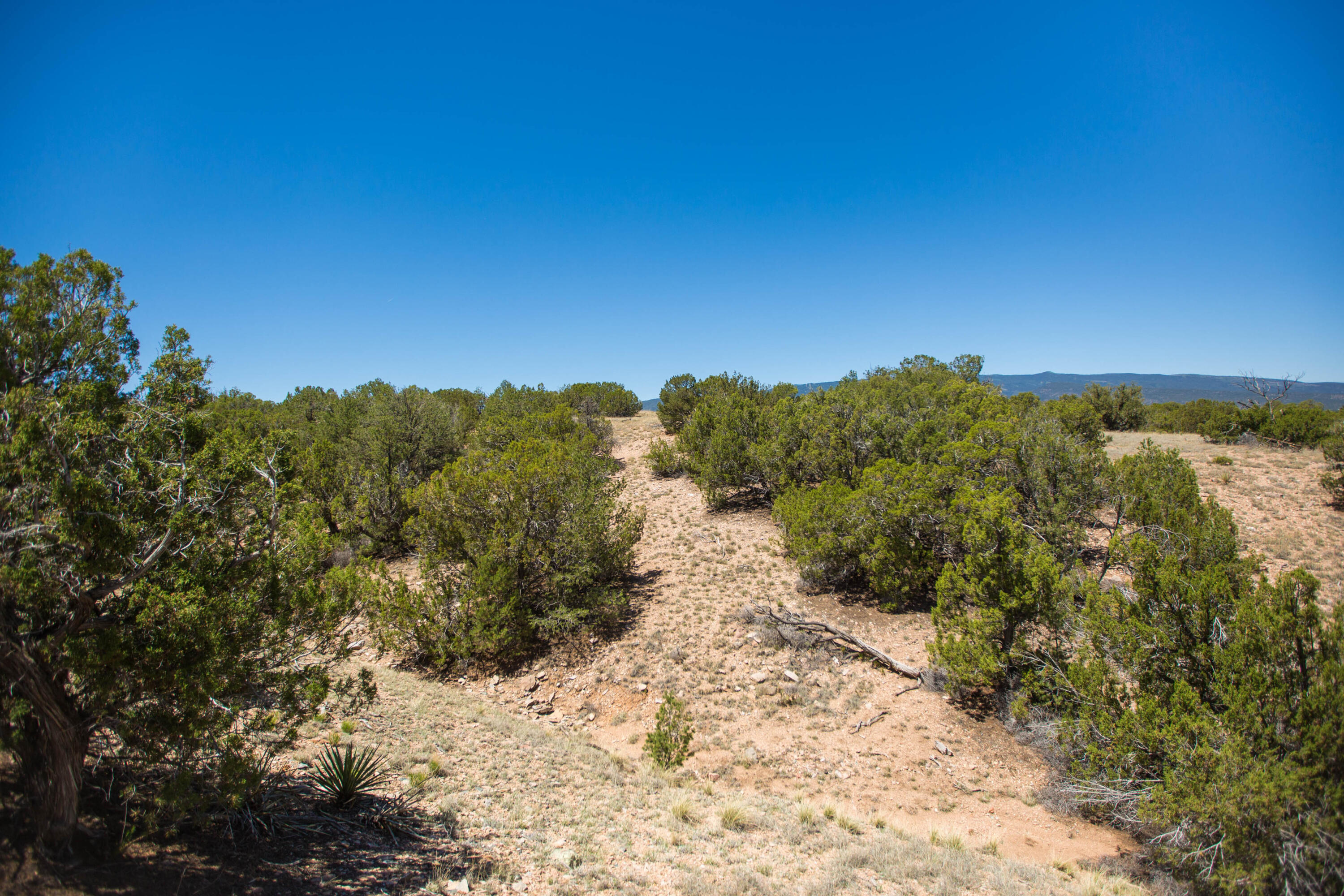 Photo 14 —  Turquoise Drive Lot 2