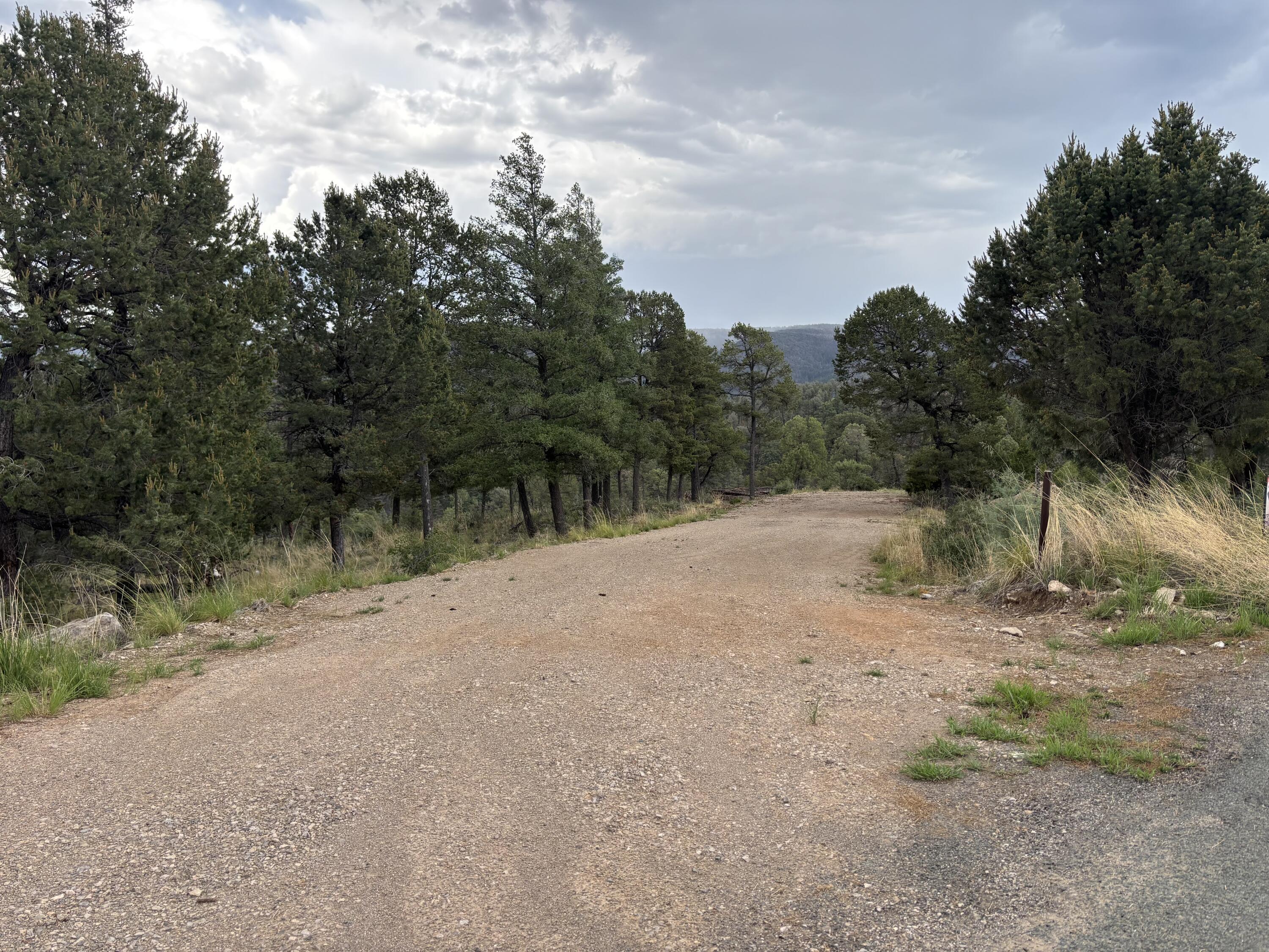 146 Guenevere Avenue, Ruidoso, NM 88345
