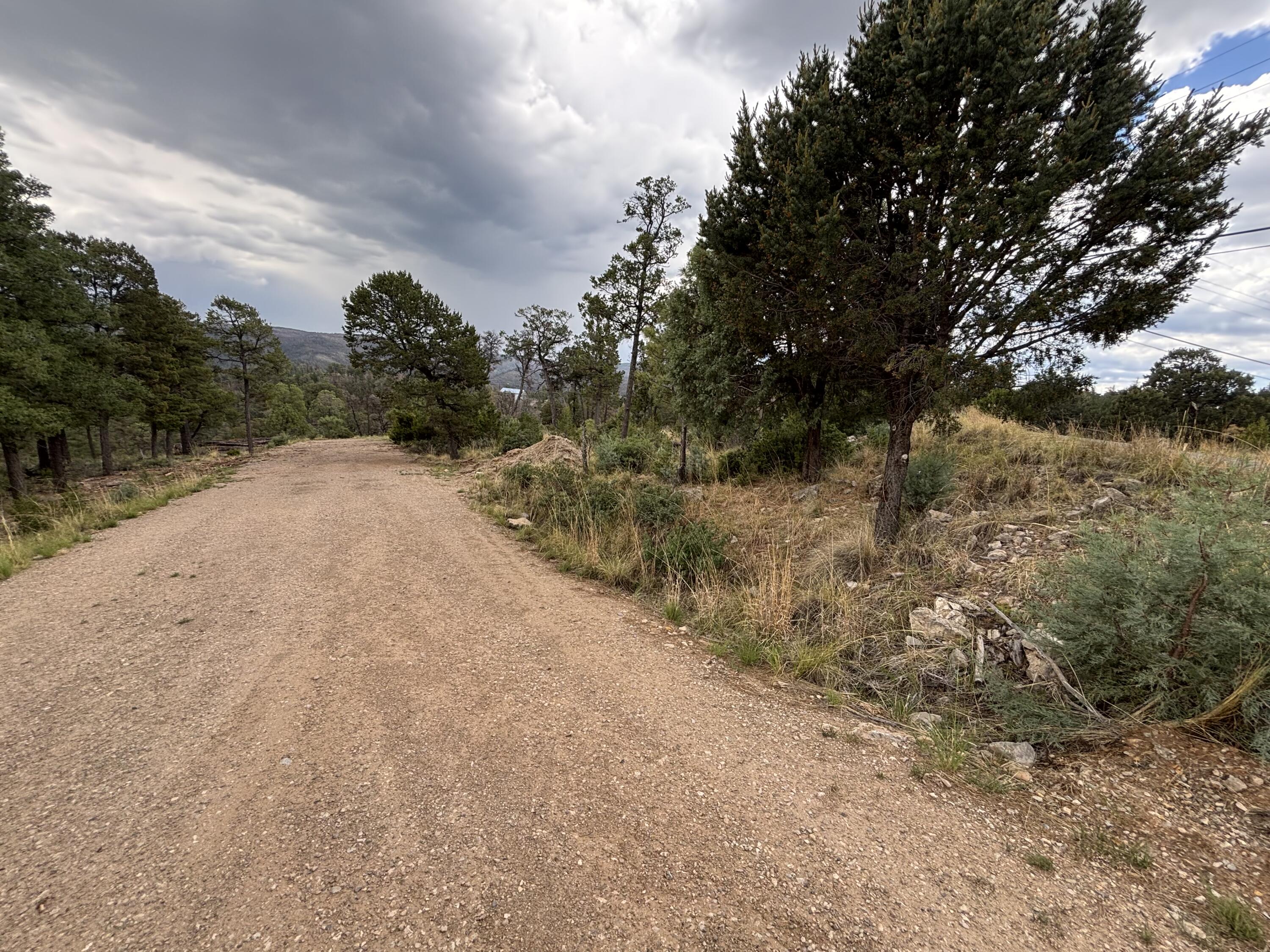 Photo 2 — 146 Guenevere Avenue
