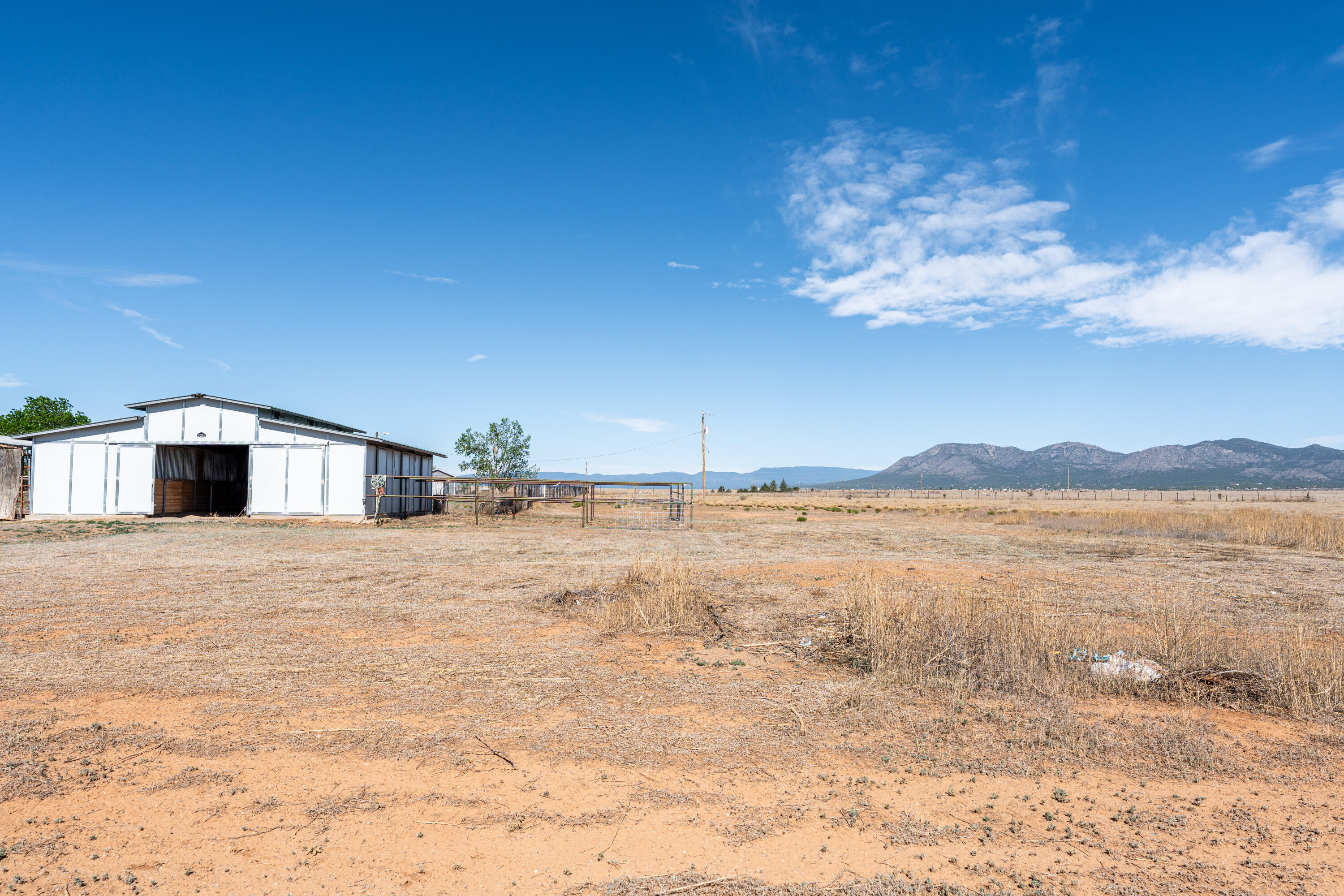 Photo 12 — 38 Stallion Road