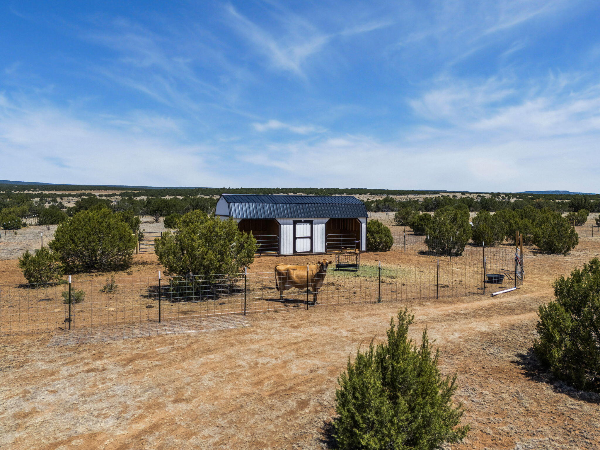 Photo 3 — 168 Lesperance Road