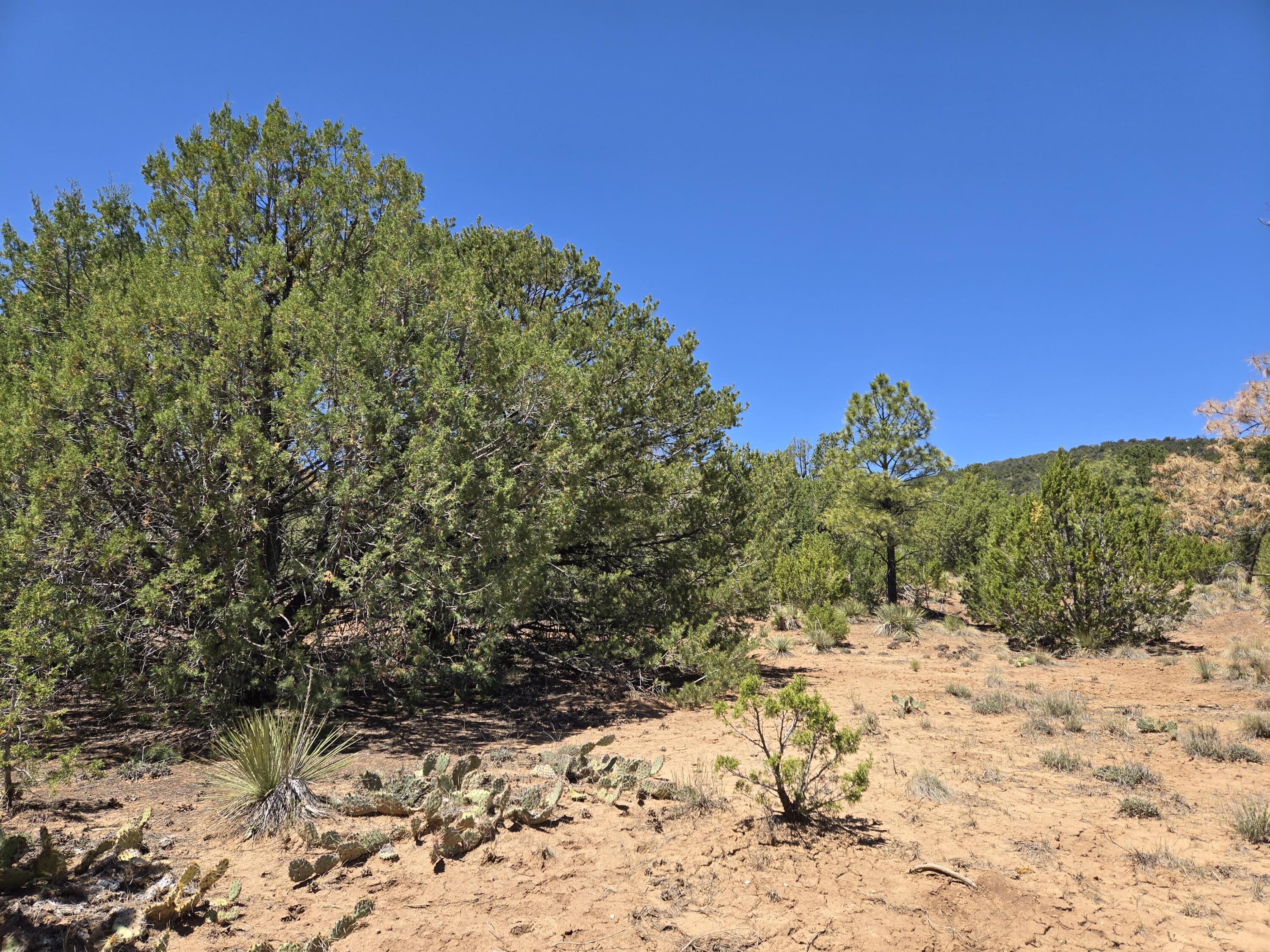 Photo 5 — 0 High Sierra