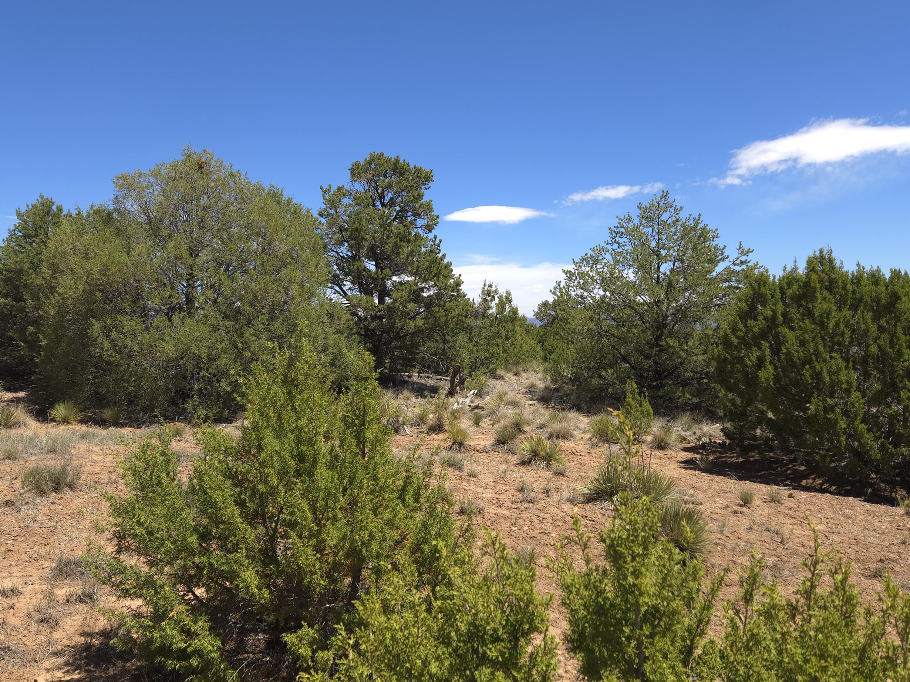 Photo 6 — 0 High Sierra