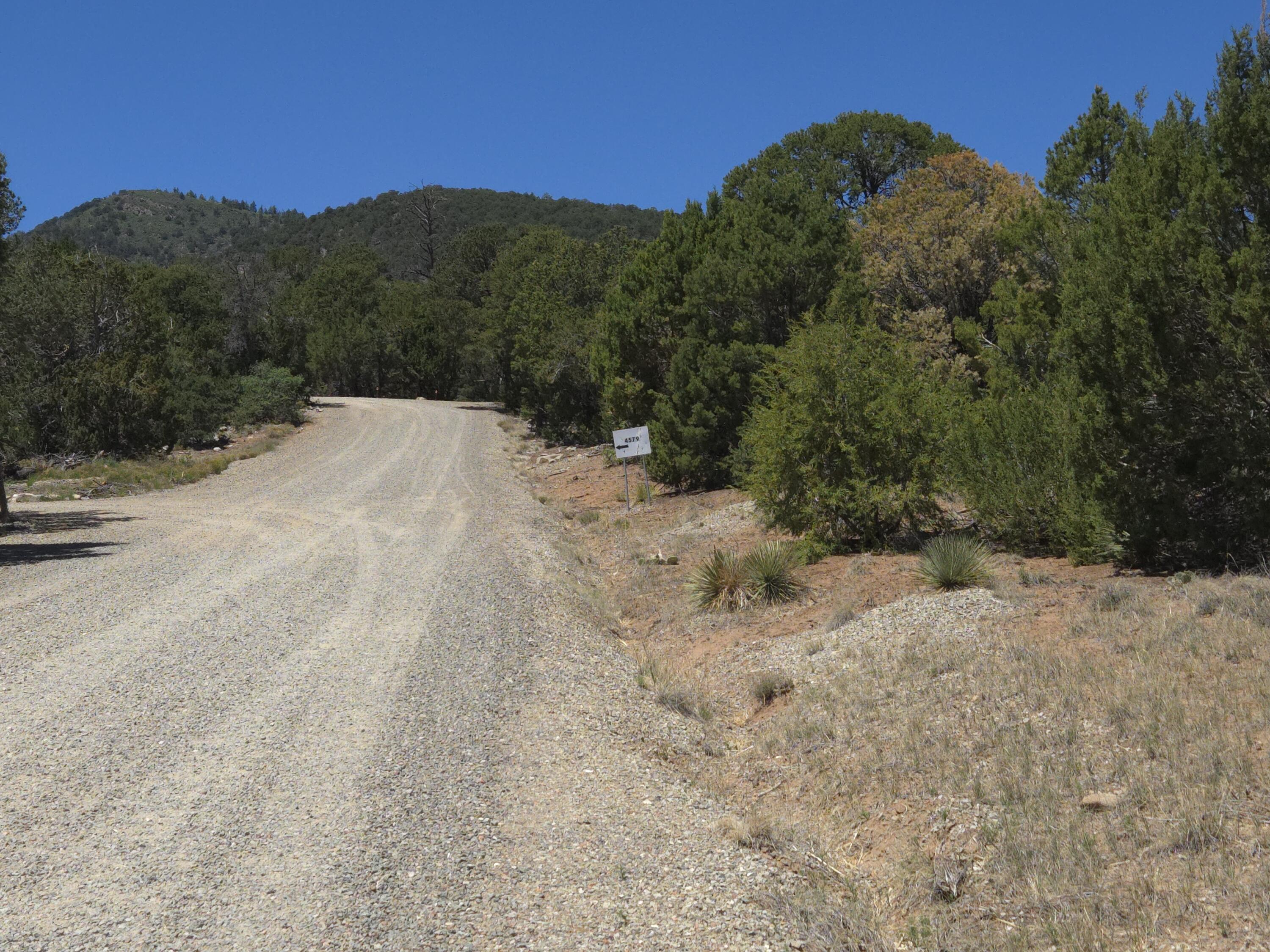 Photo 9 — 0 High Sierra