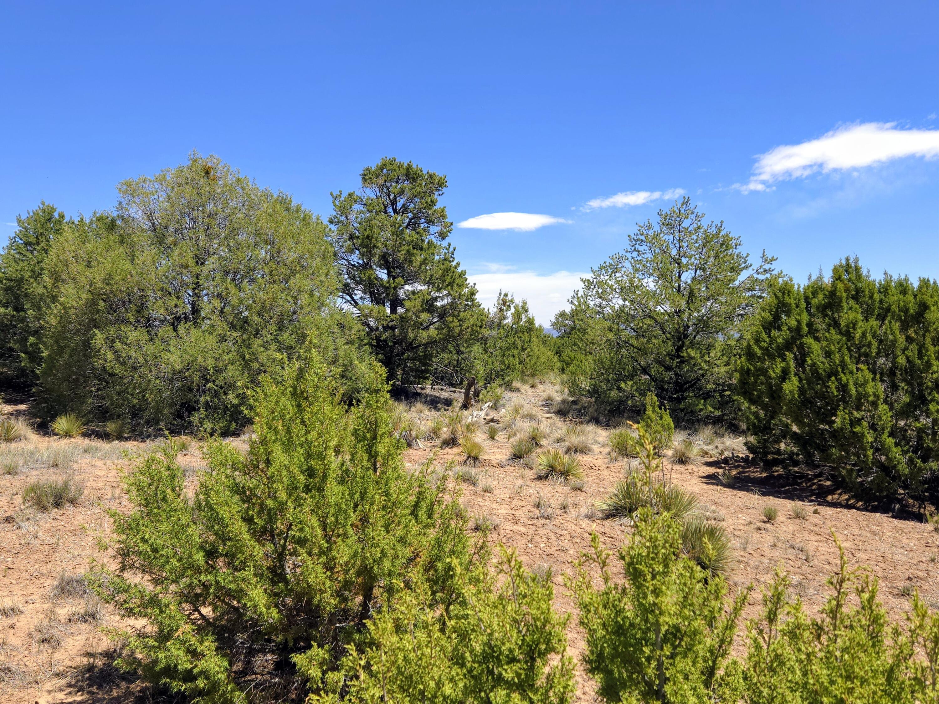 Photo 10 — 0 High Sierra