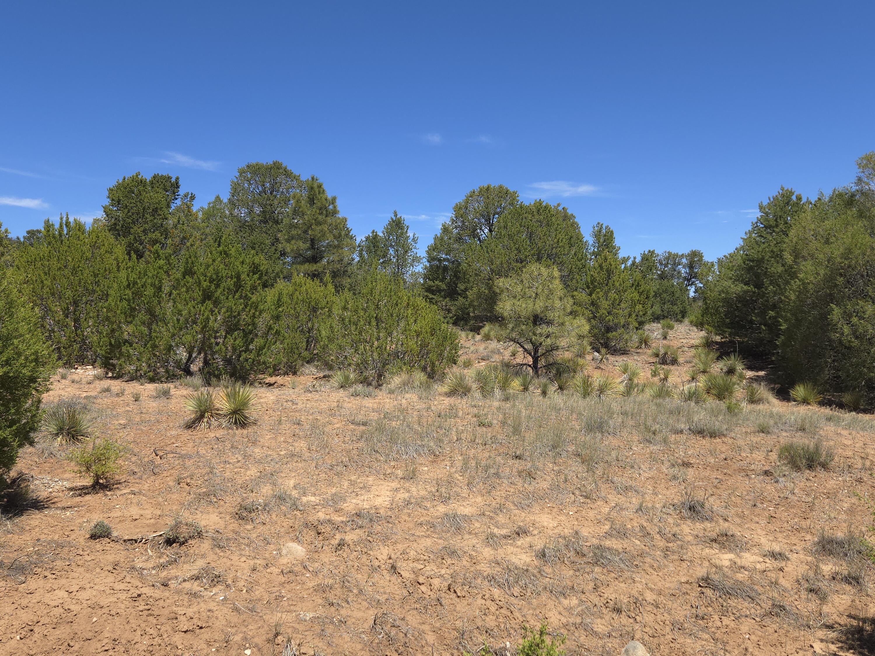 Photo 13 — 0 High Sierra