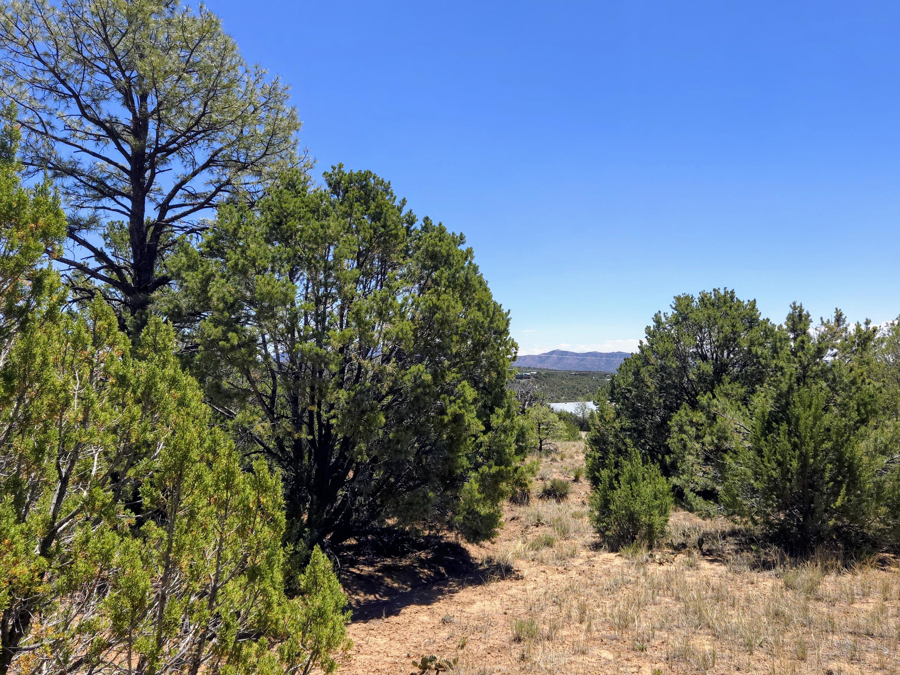 Photo 15 — 0 High Sierra