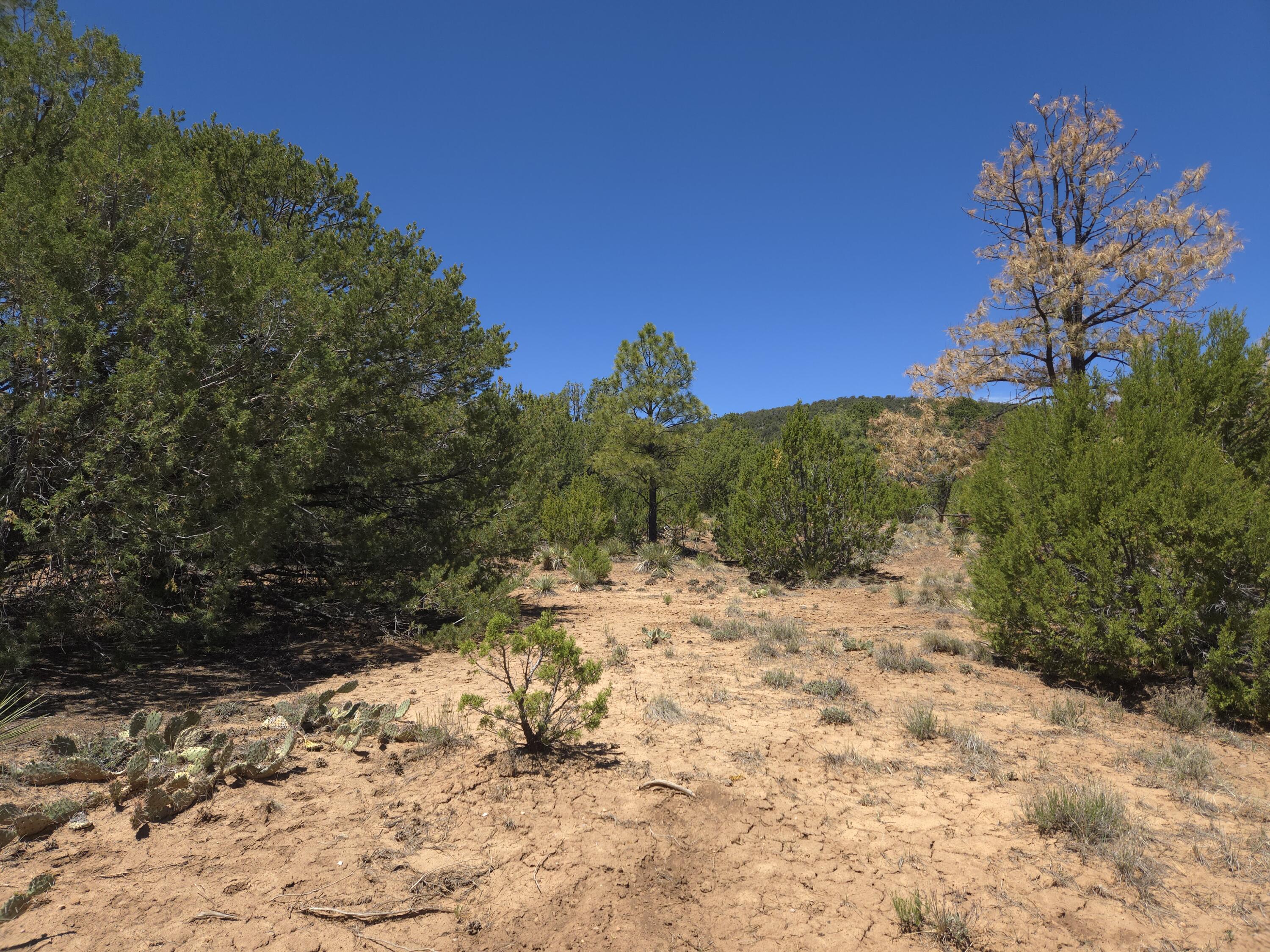 Photo 2 — 0 High Sierra