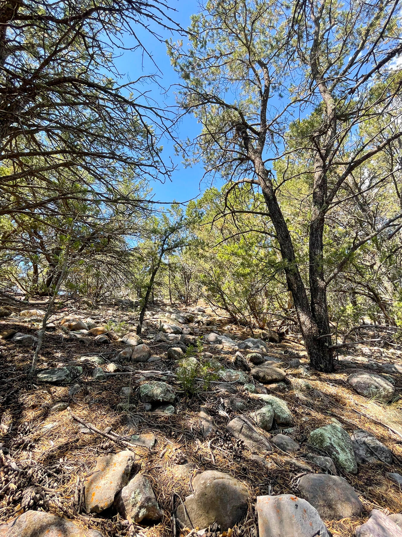 Photo 20 — 00 High Sierra Road
