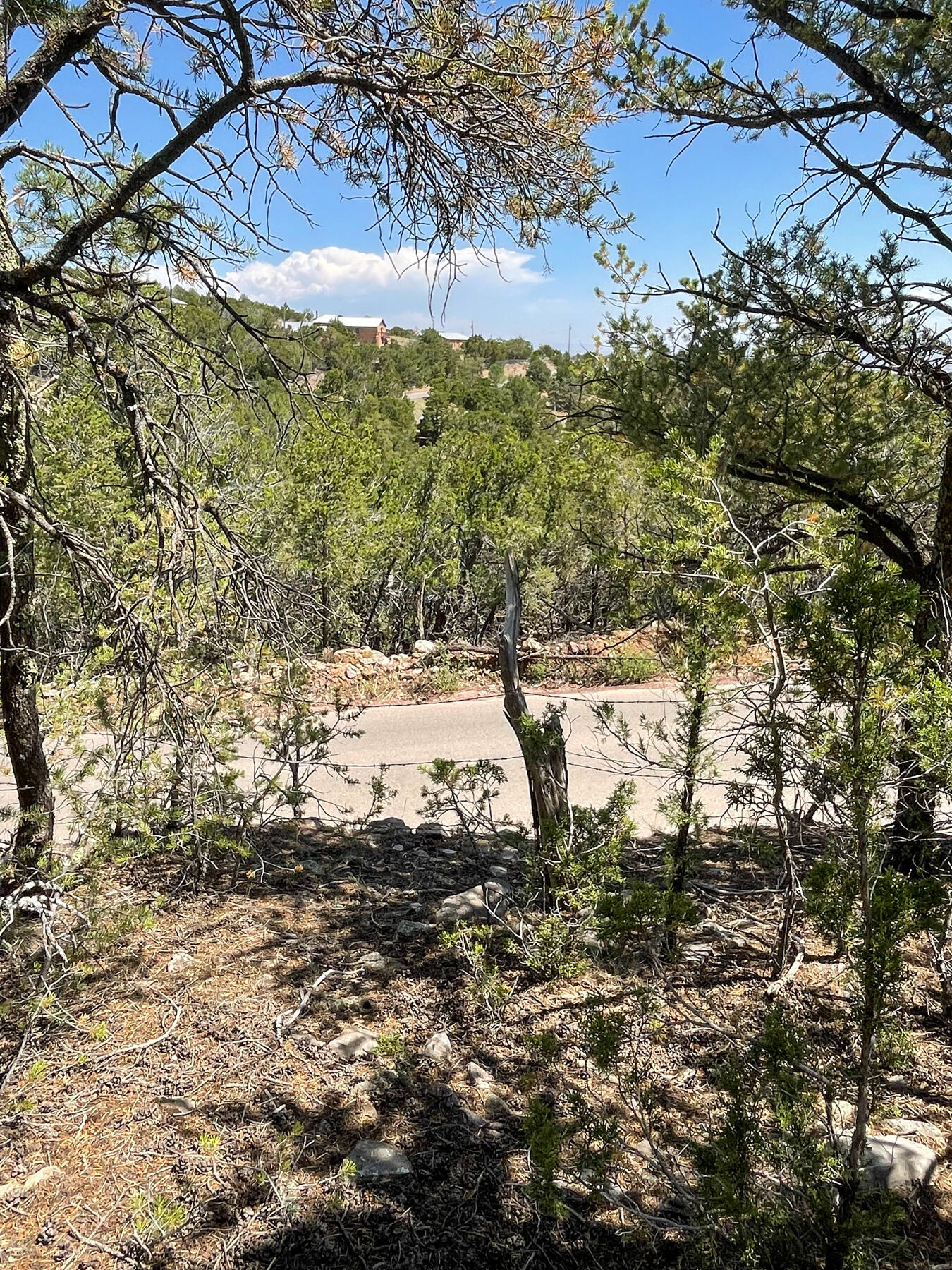 Photo 2 — 00 High Sierra Road