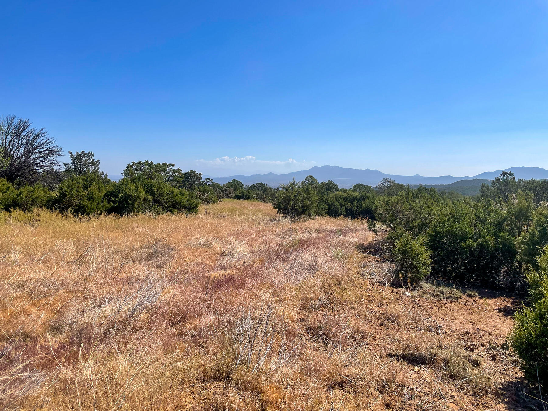 Photo 14 — 00 High Sierra Road