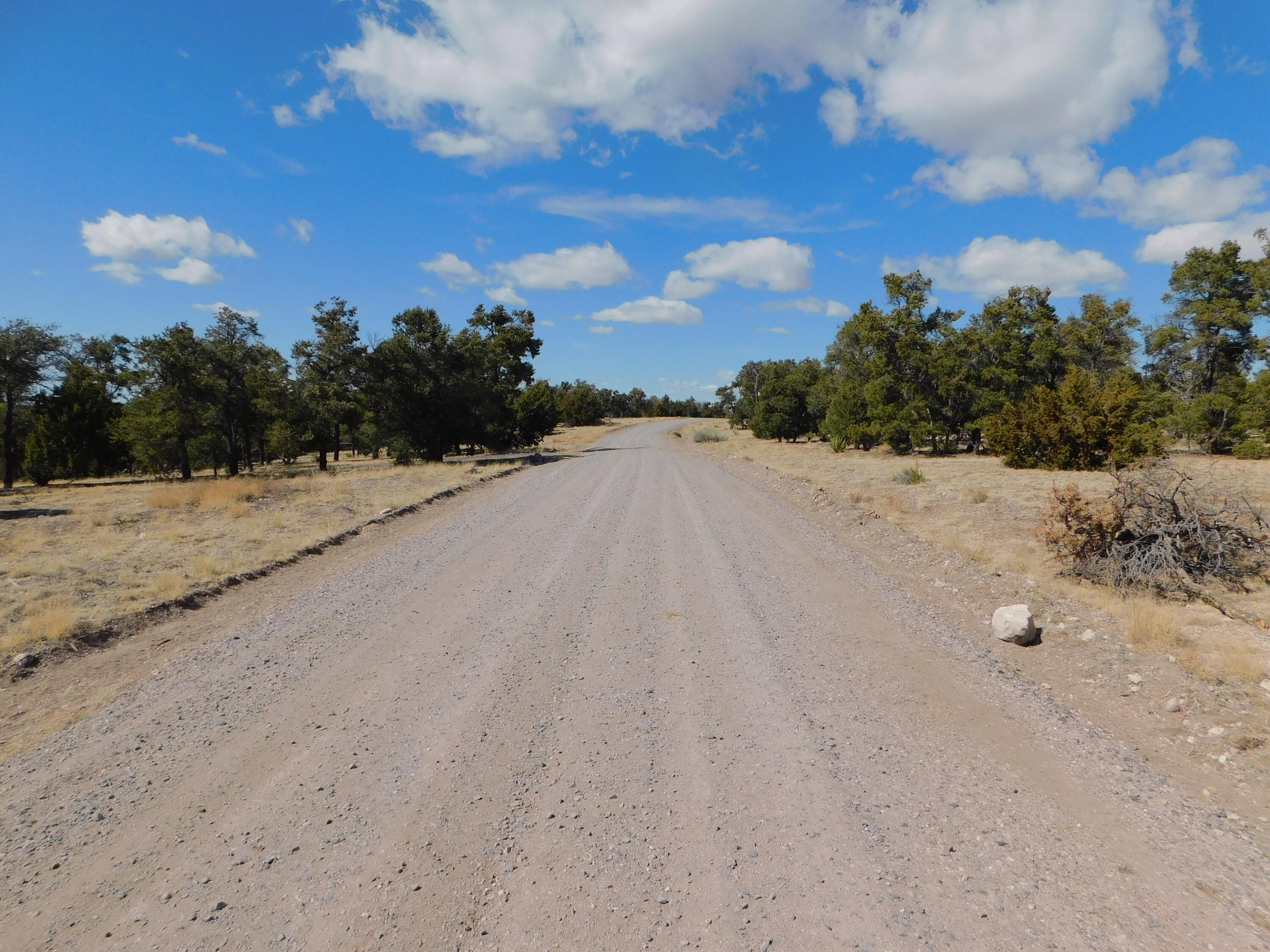 Photo 15 — 11 Spring Canyon Circle Road