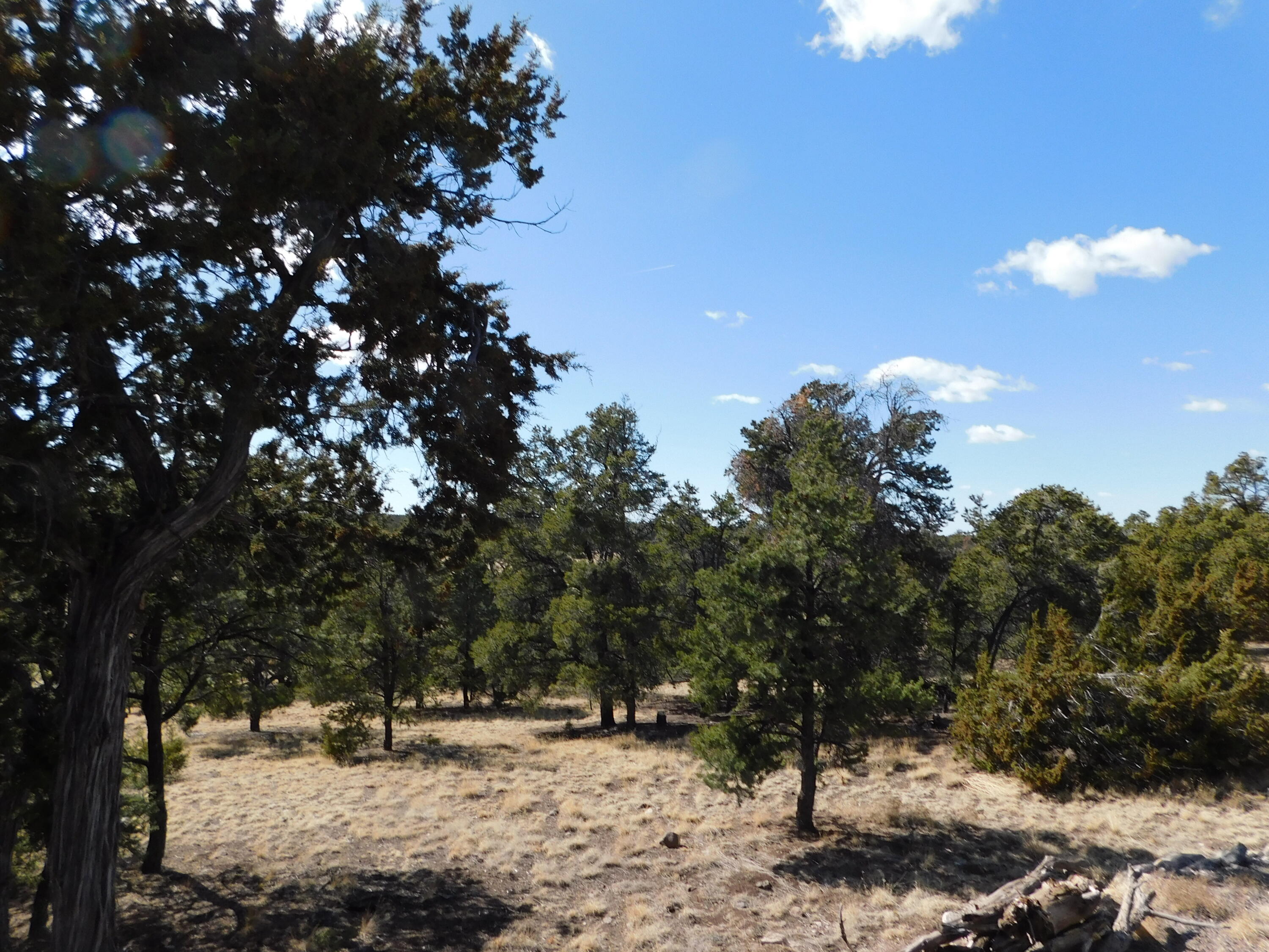 Photo 13 — 11 Spring Canyon Circle Road