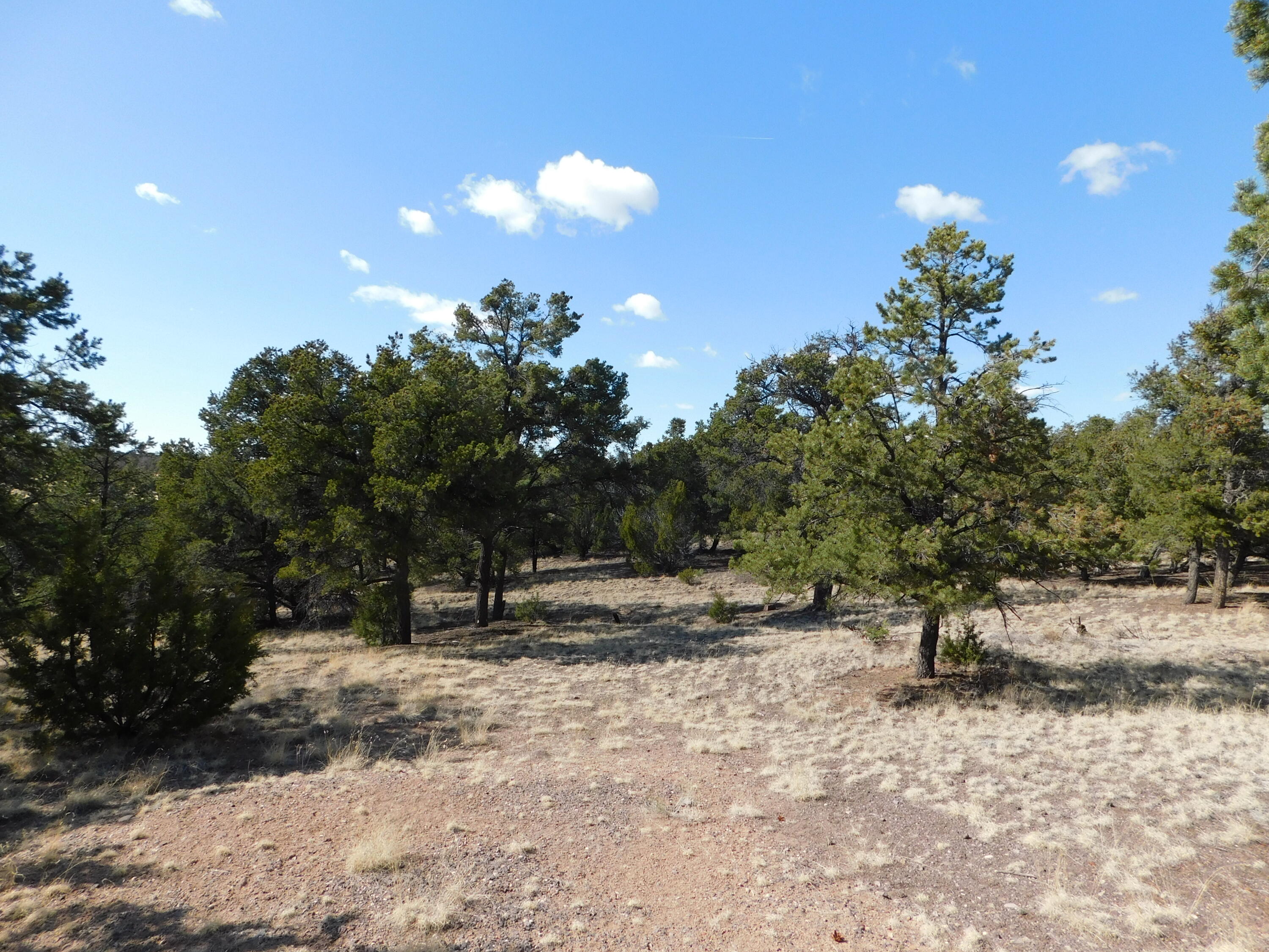 Photo 12 — 11 Spring Canyon Circle Road