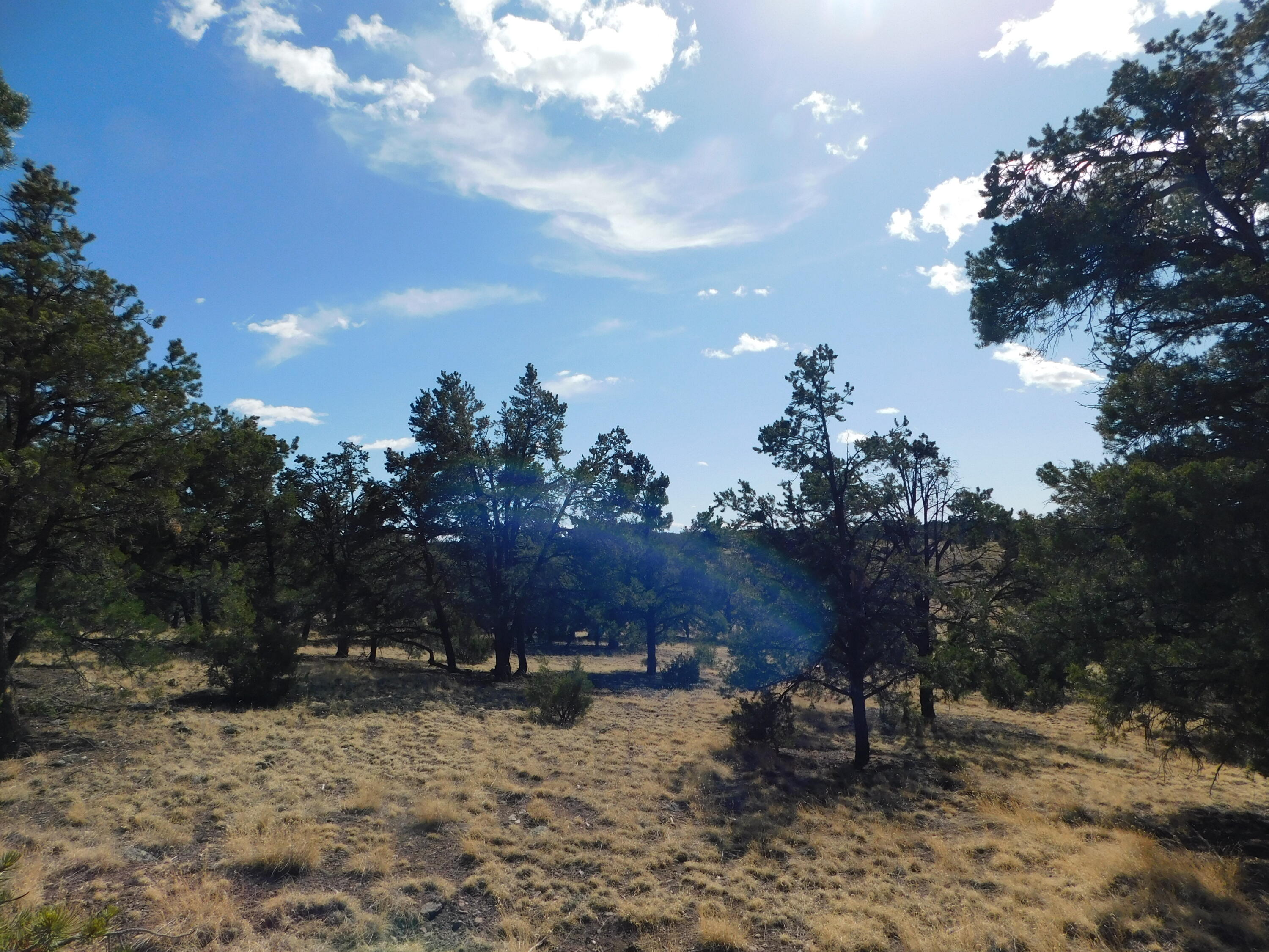 Photo 11 — 11 Spring Canyon Circle Road