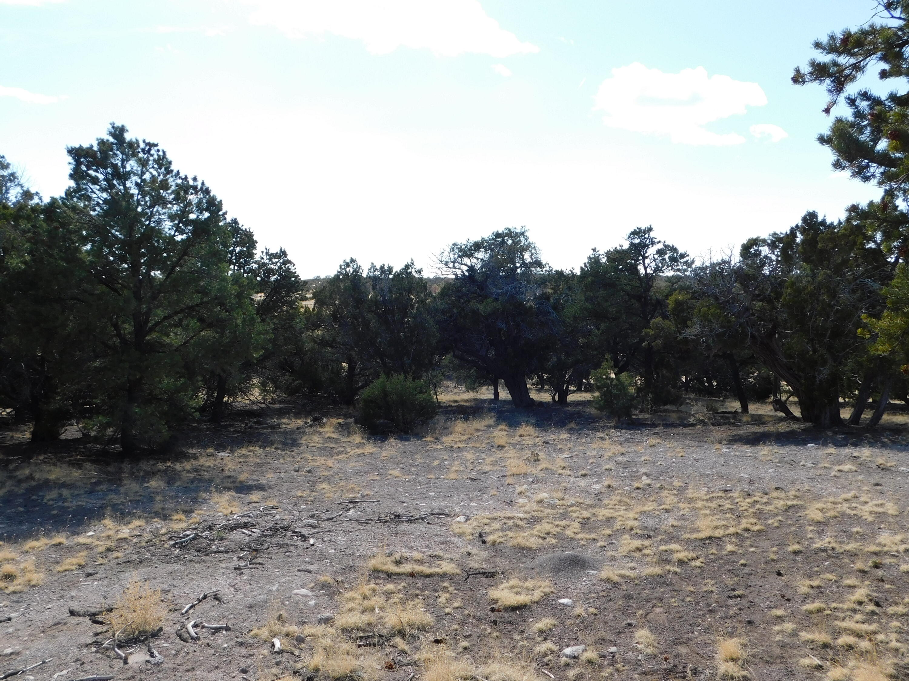 Photo 10 — 11 Spring Canyon Circle Road